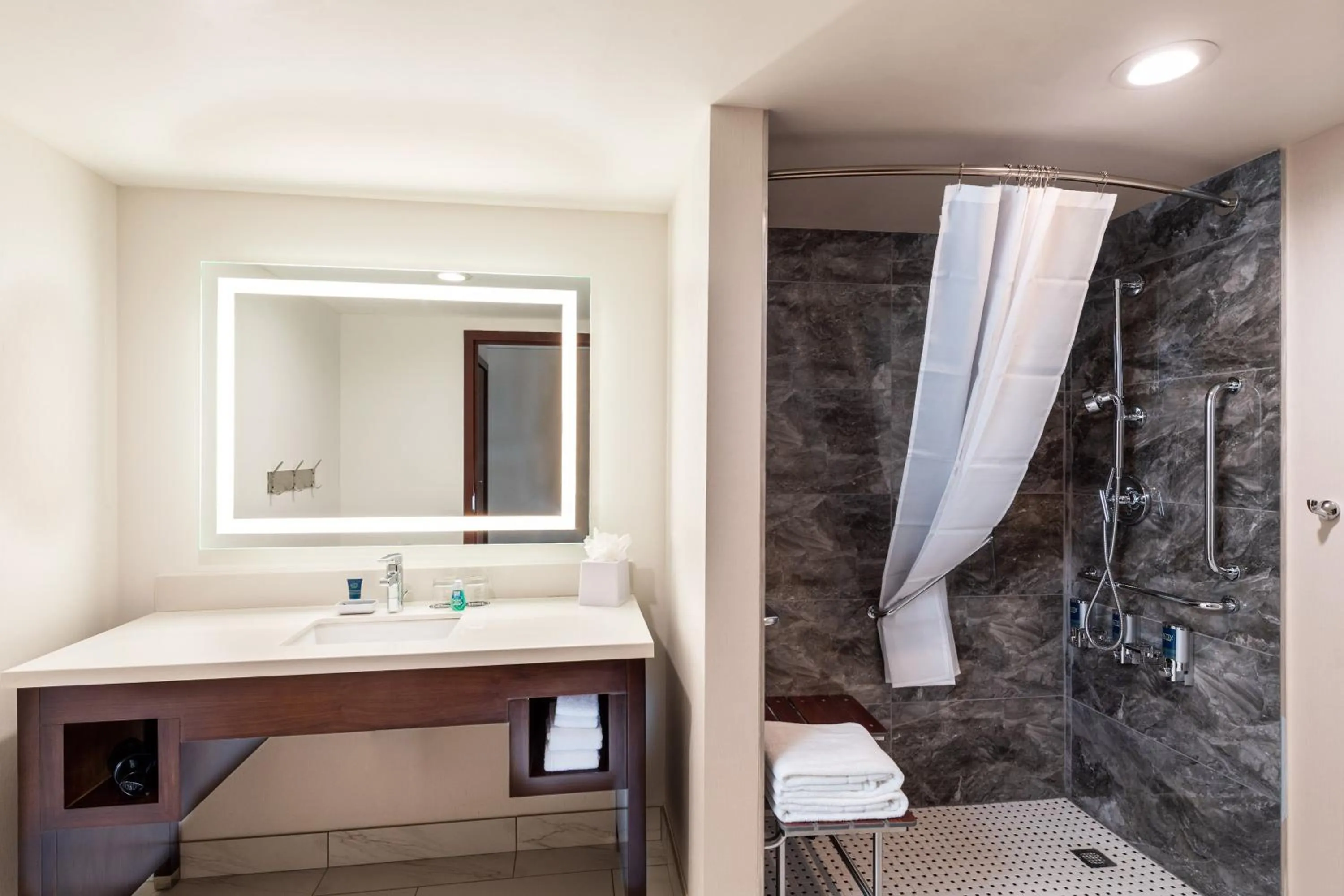 Bathroom in Four Points by Sheraton Atlanta Airport West