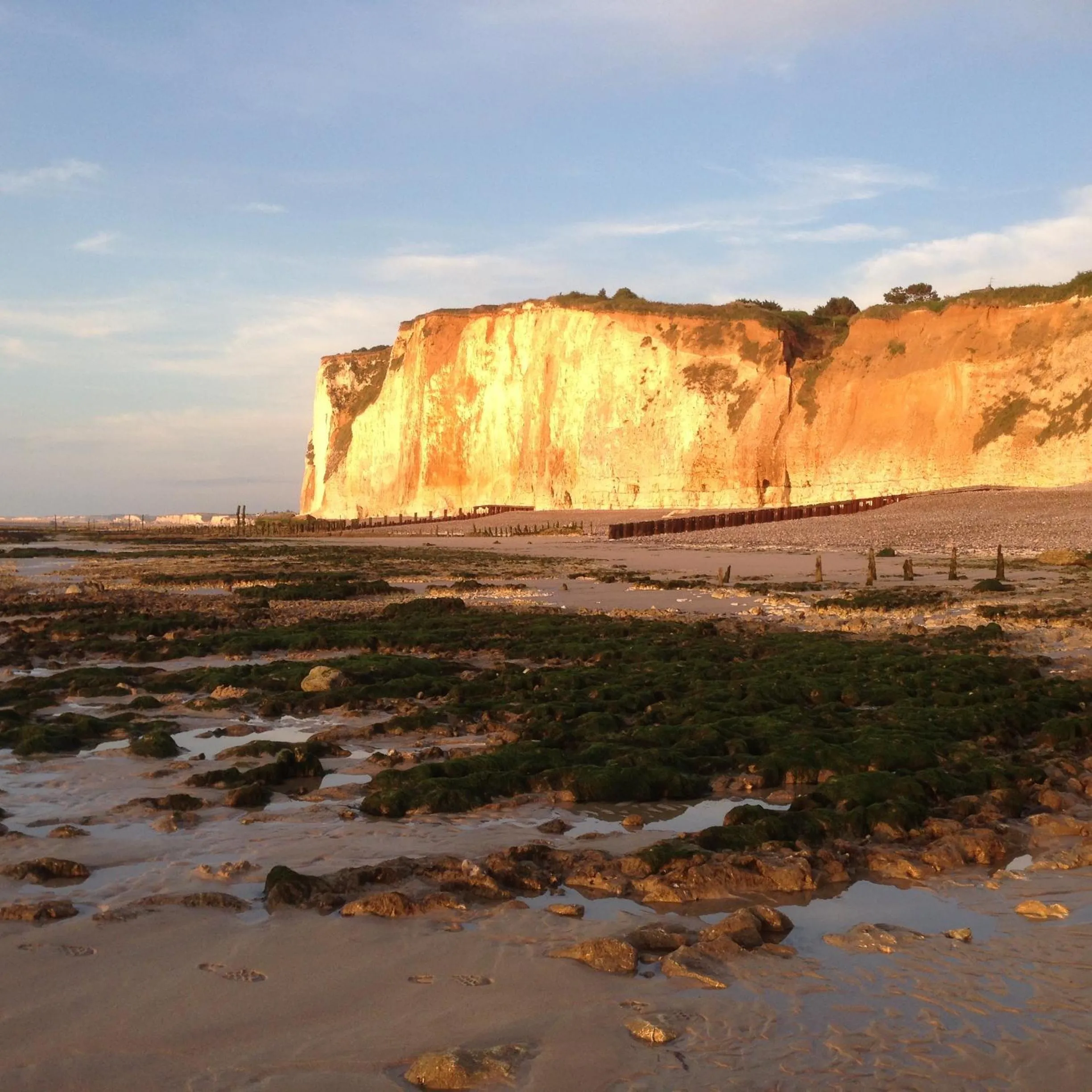 Beach in The Old Fenwick House