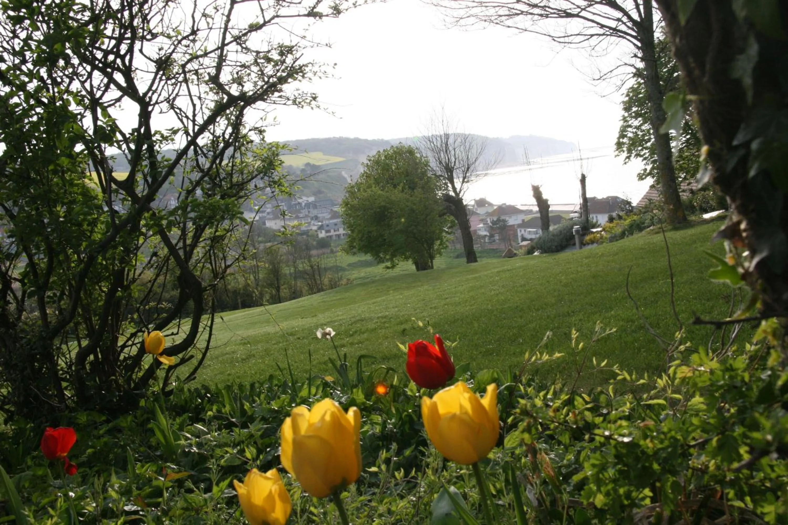 Garden in The Old Fenwick House
