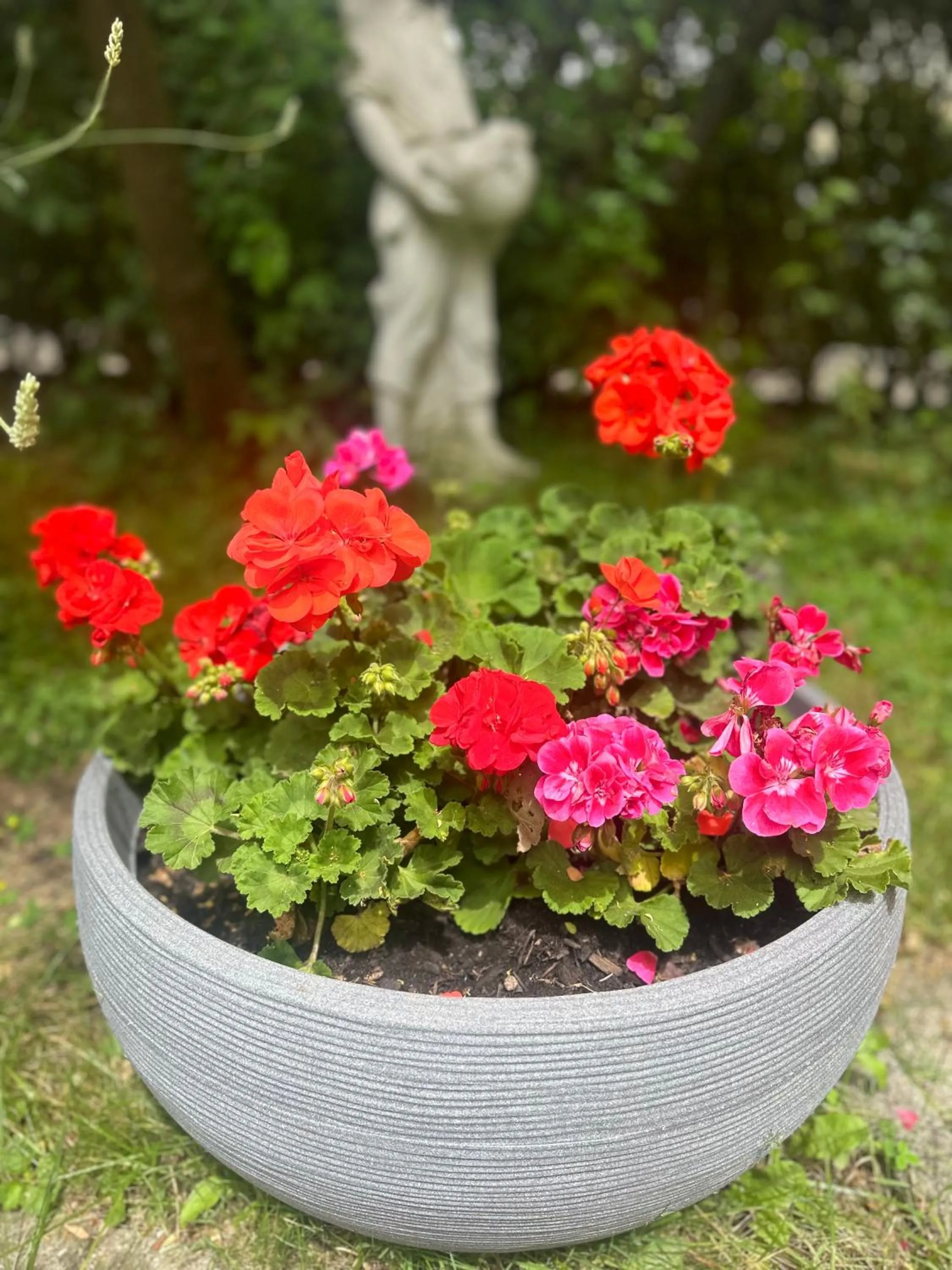 Arena Stadt München