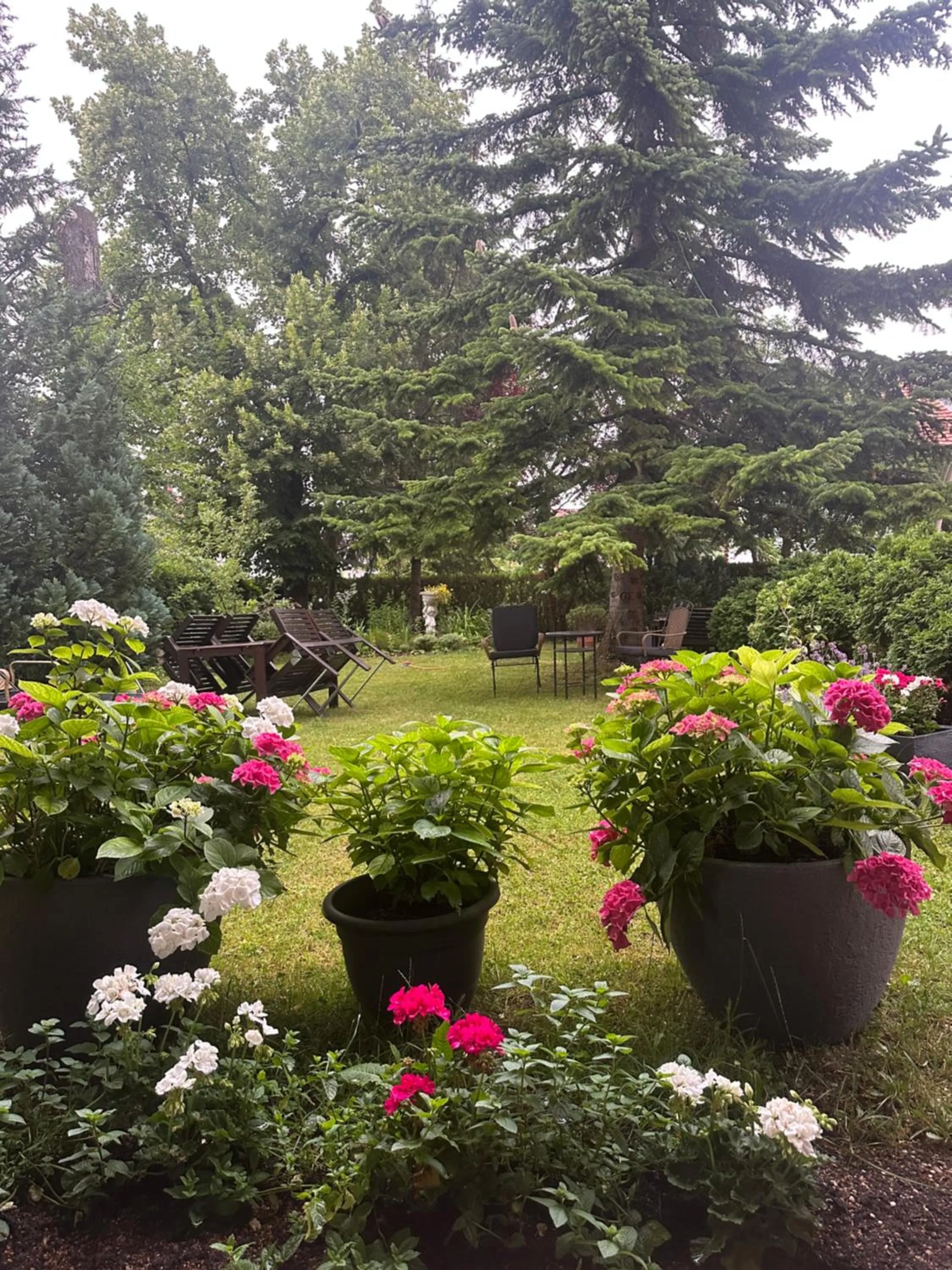 Arena Stadt München