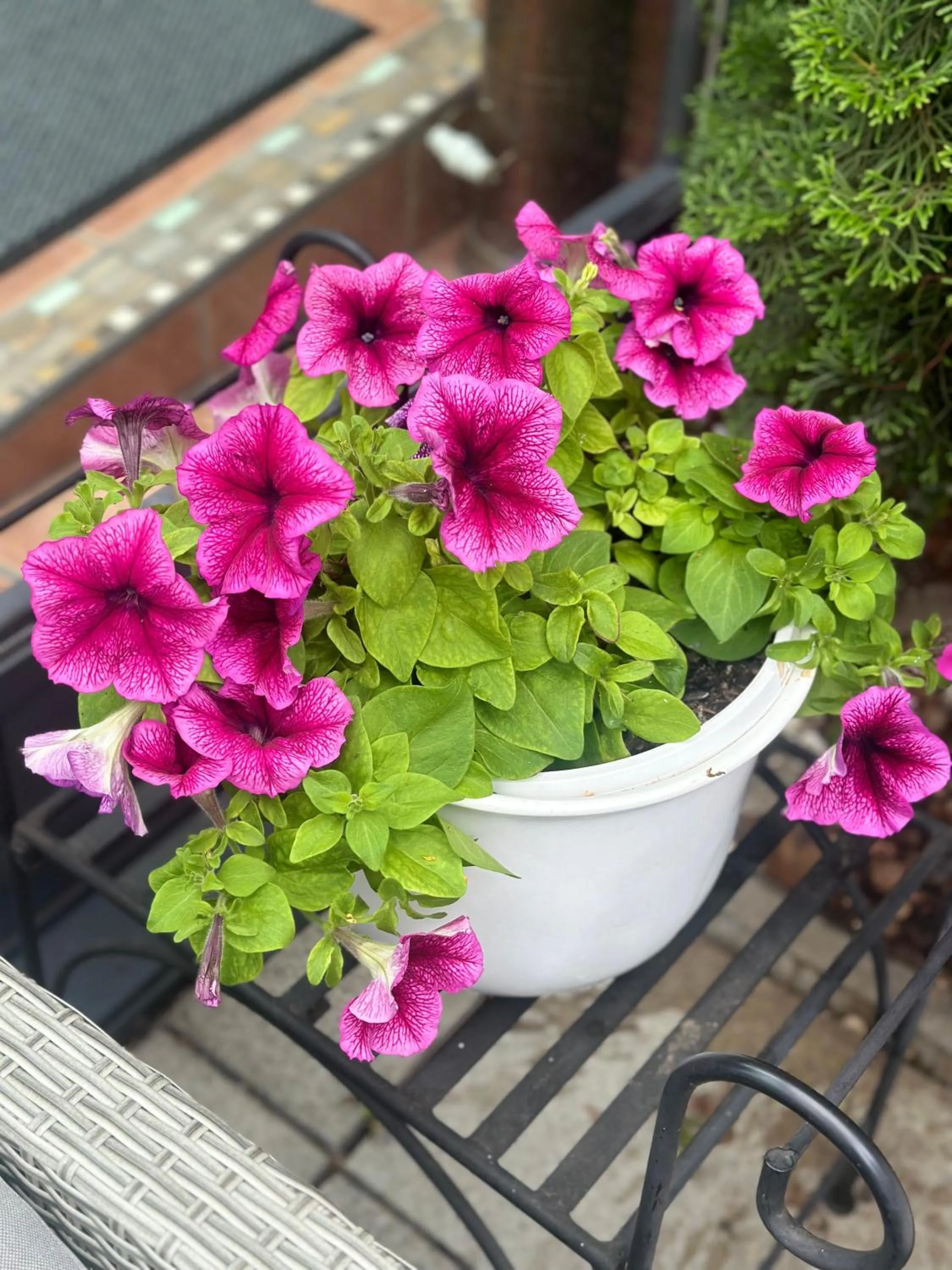 Arena Stadt München