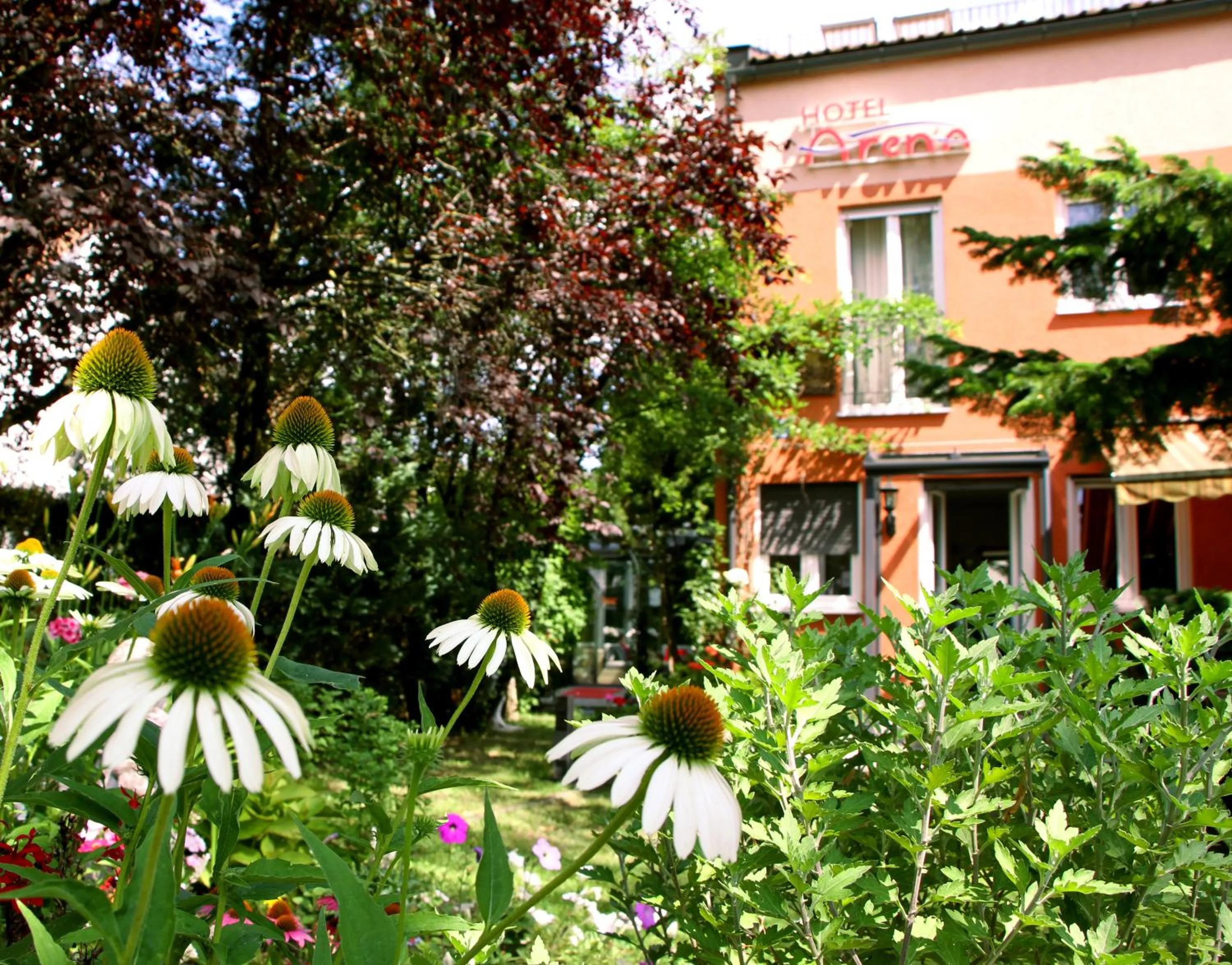 Garden in Arena Stadt München