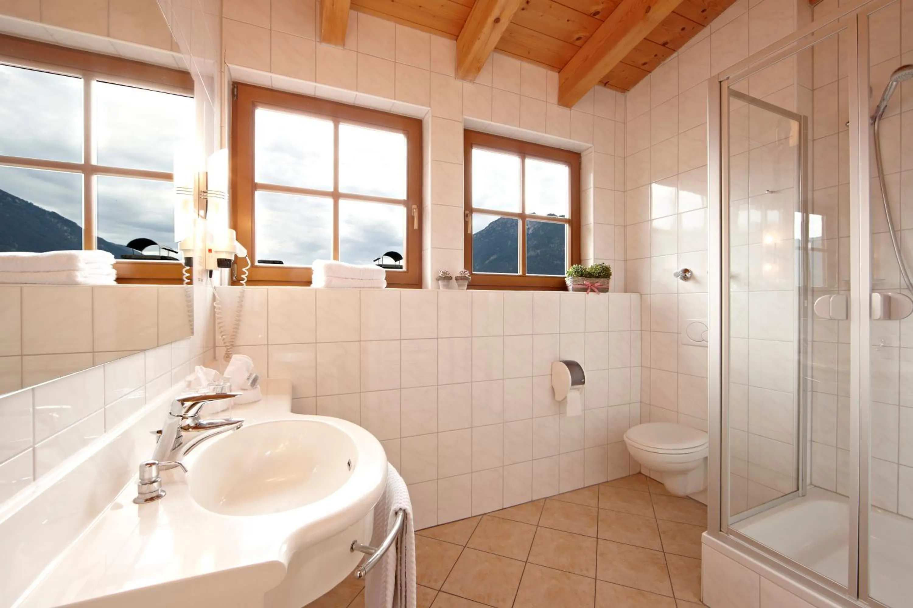 Bathroom in Hotel Schatten