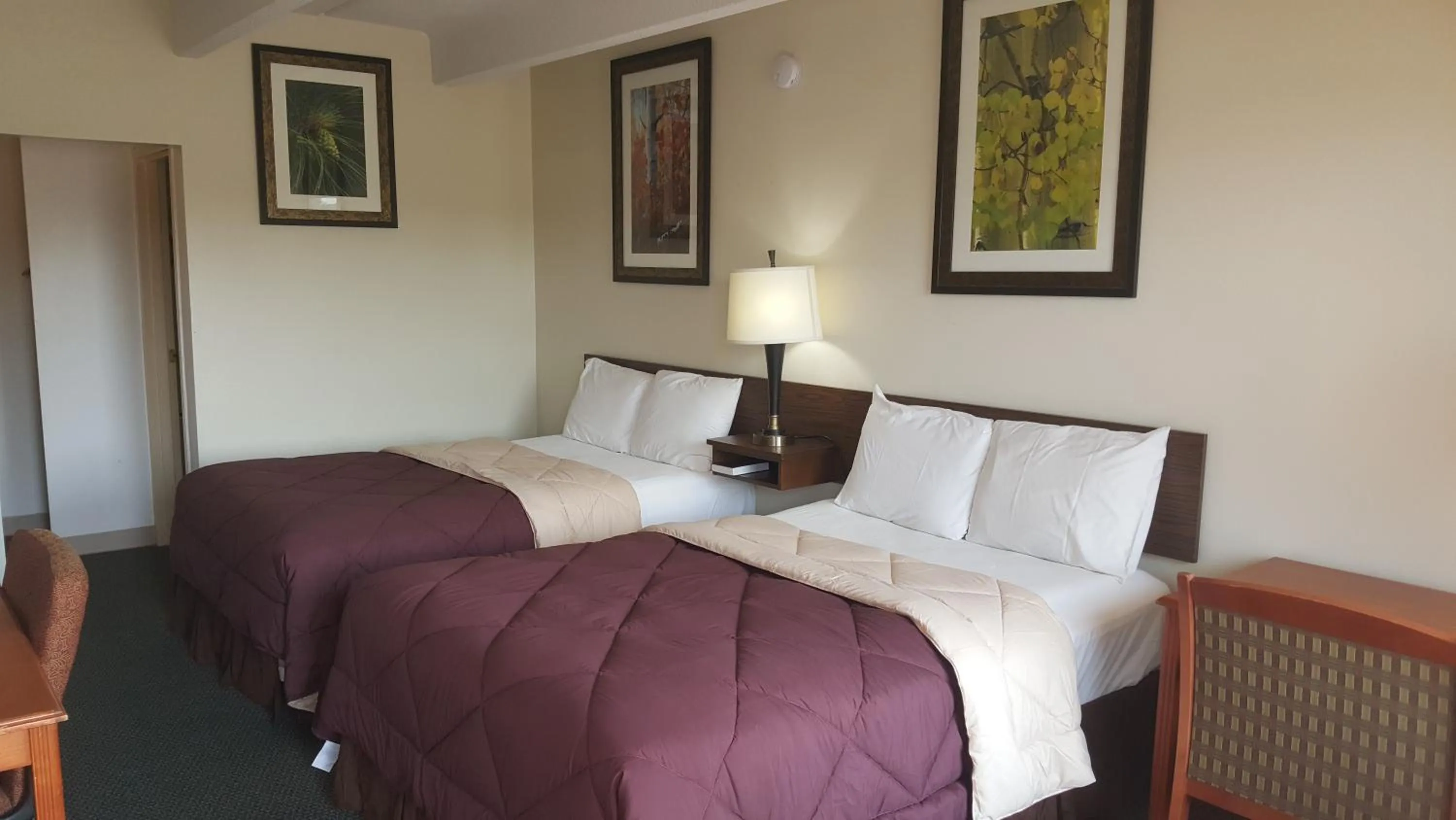 Bed in Budget Host Platte Valley Inn