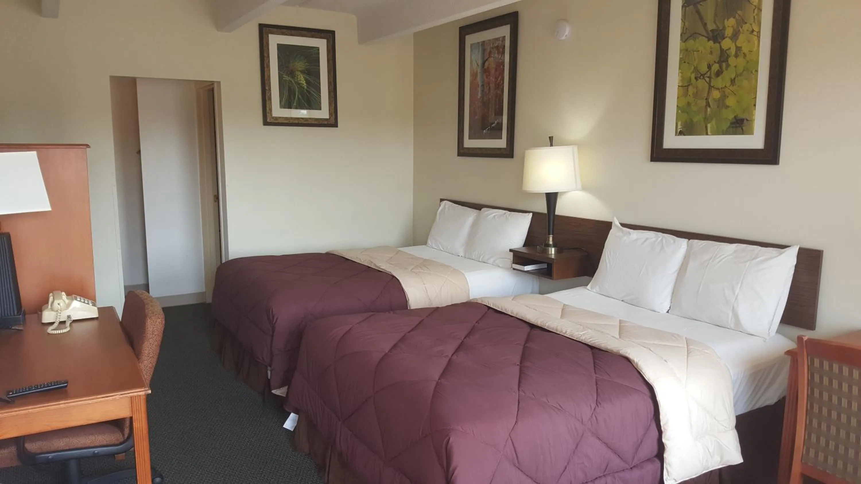 Bed in Budget Host Platte Valley Inn