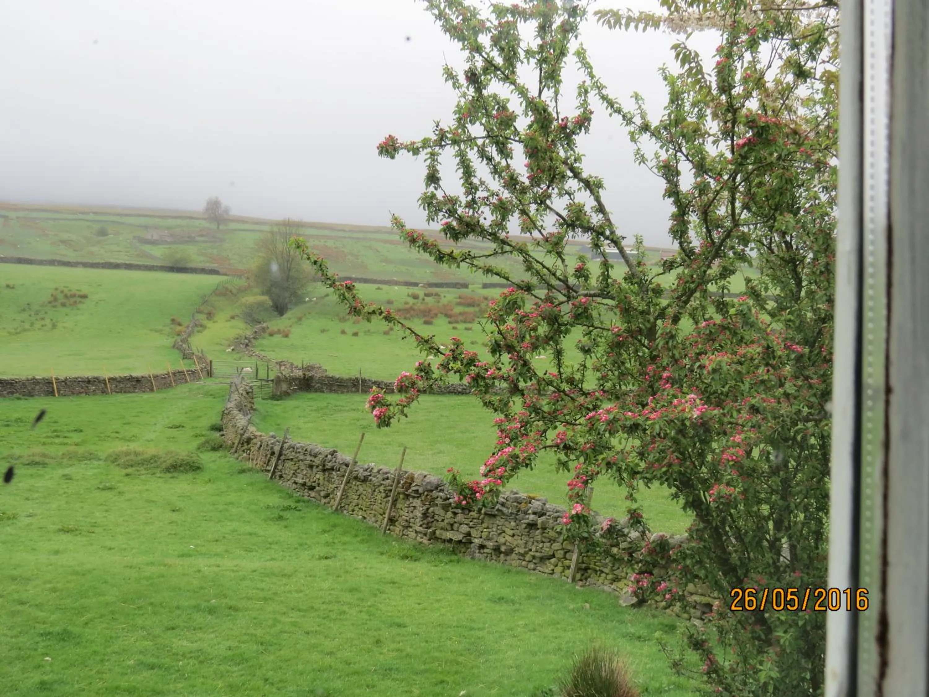 View (from property/room) in Eastview Bed and Breakfast