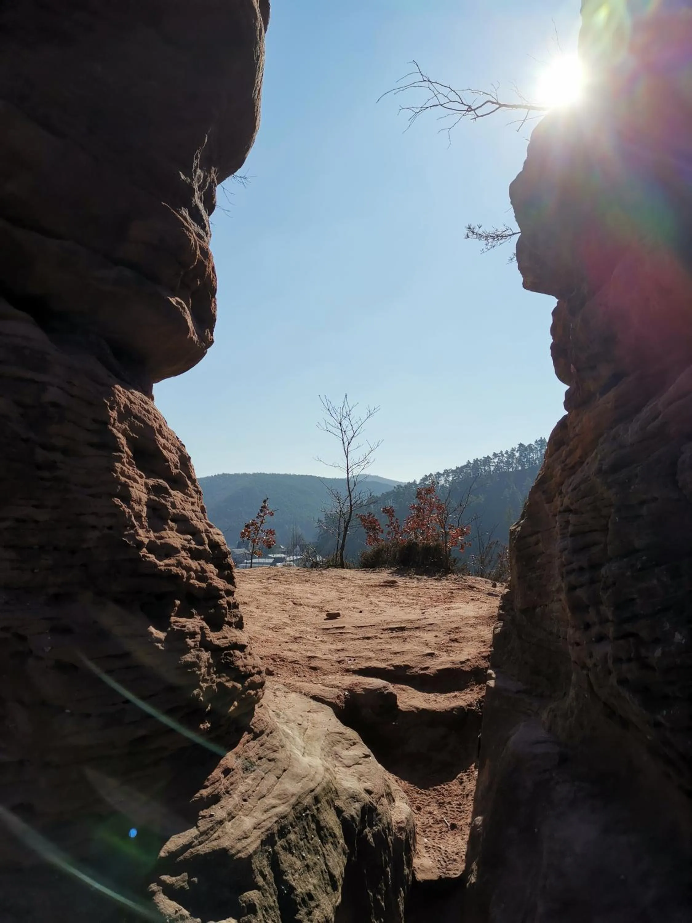 Hiking in Hotel Am Hirschhorn - Wellness - Spa - and more