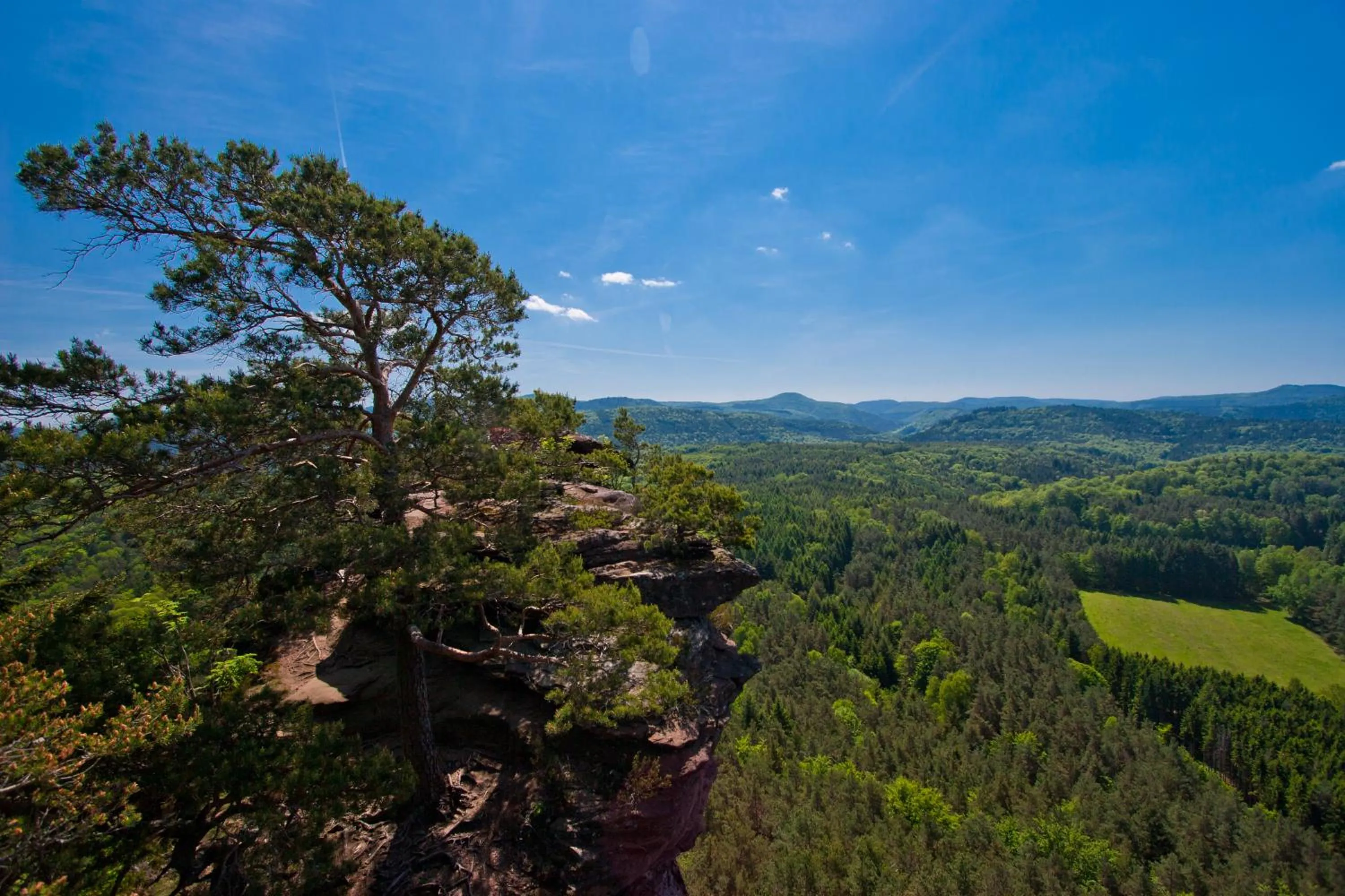 Hiking in Hotel Am Hirschhorn - Wellness - Spa - and more