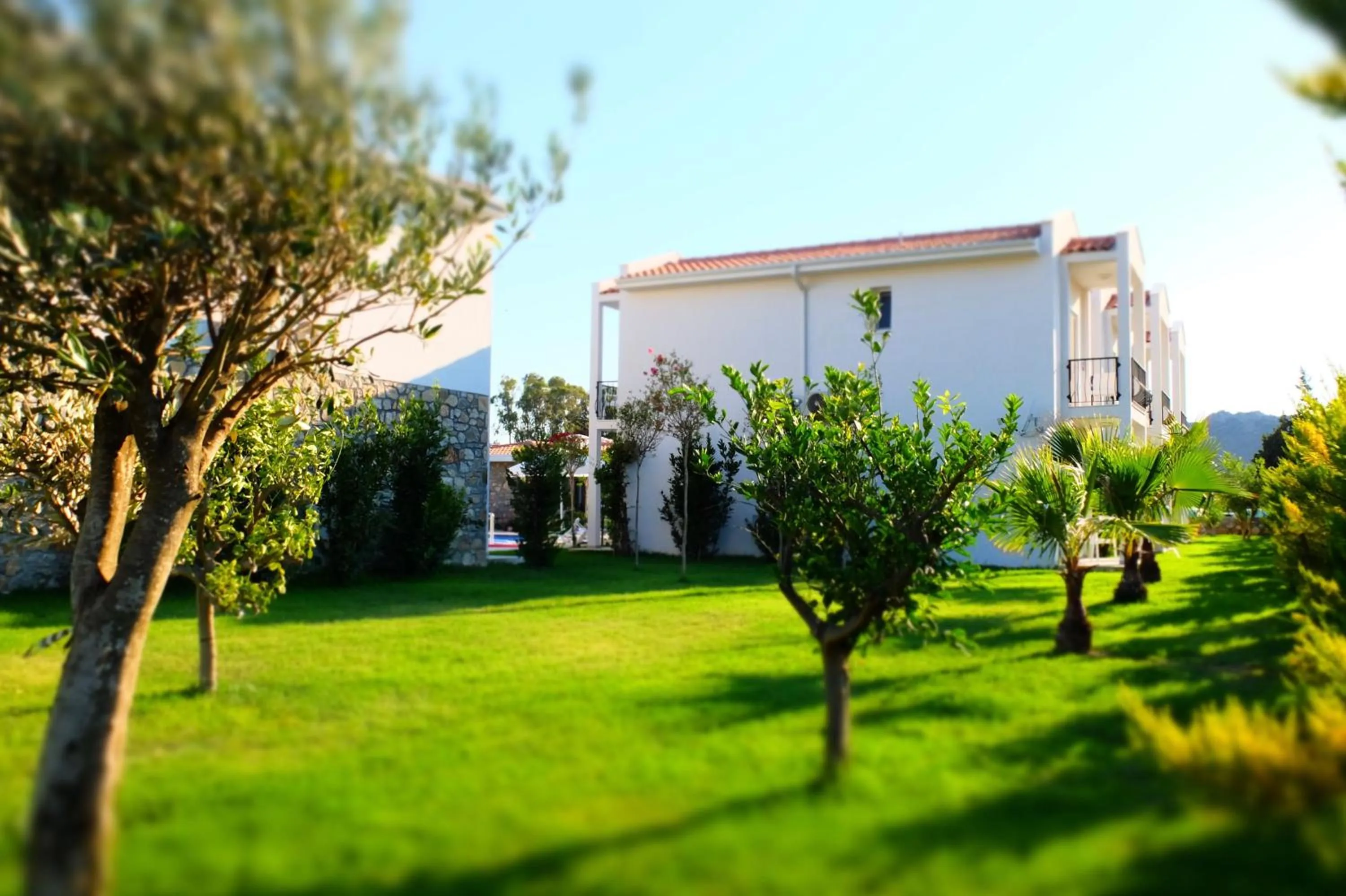 Garden in Kalina Hotel