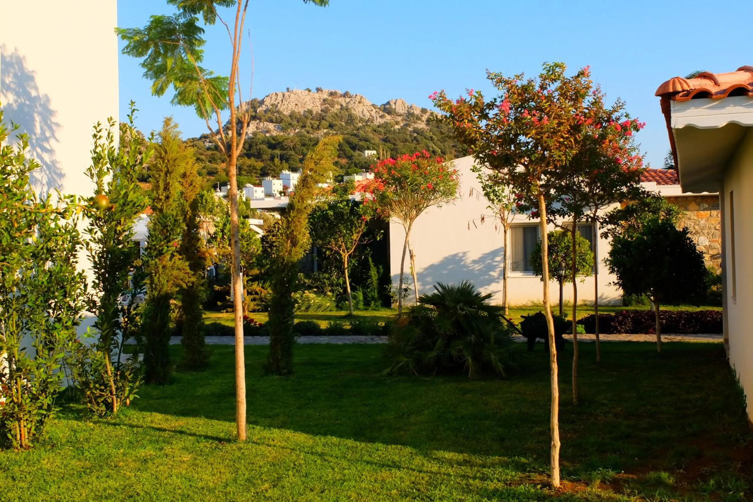 Garden in Kalina Hotel