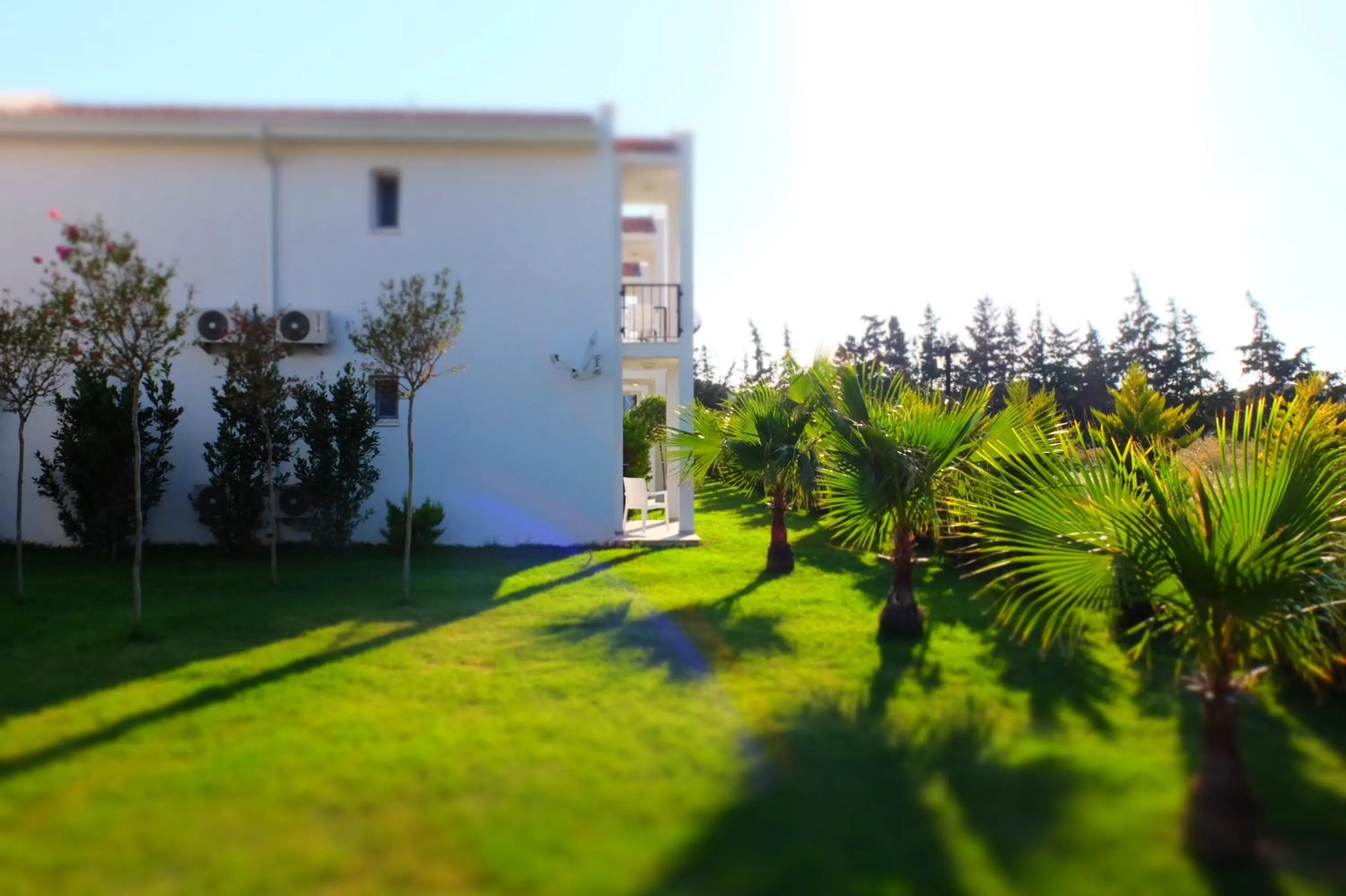 Garden in Kalina Hotel