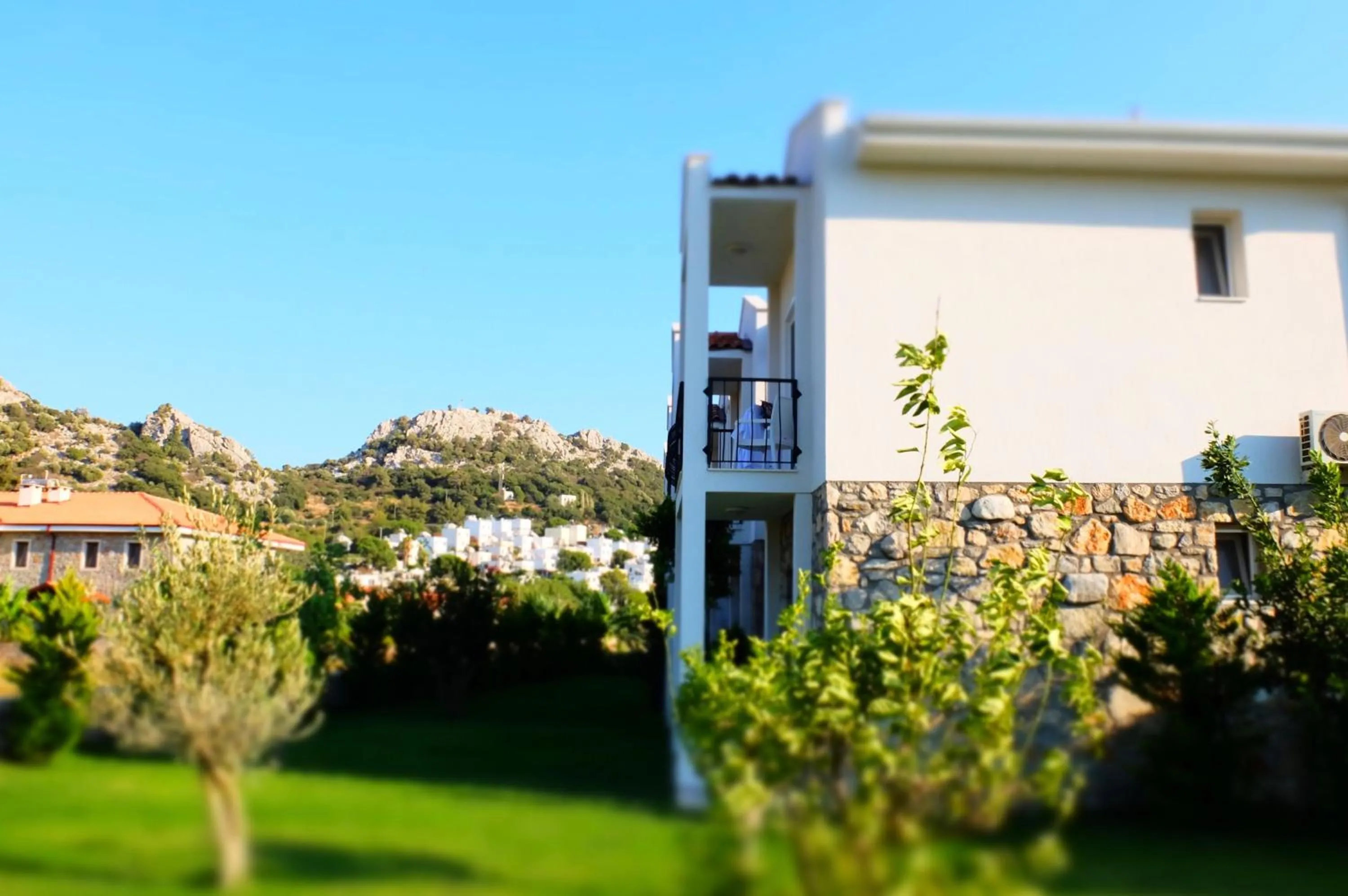 Garden in Kalina Hotel