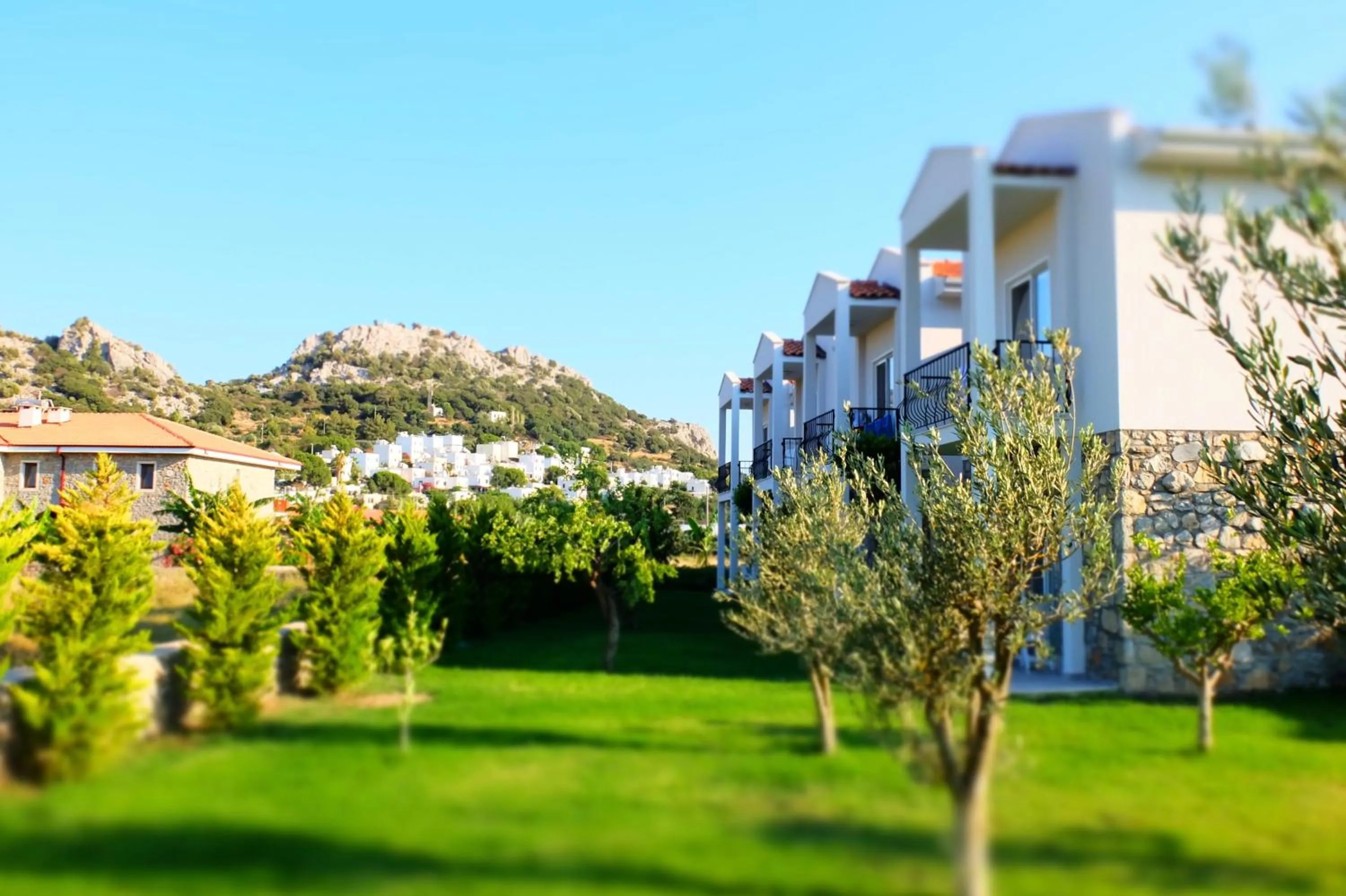 Garden in Kalina Hotel