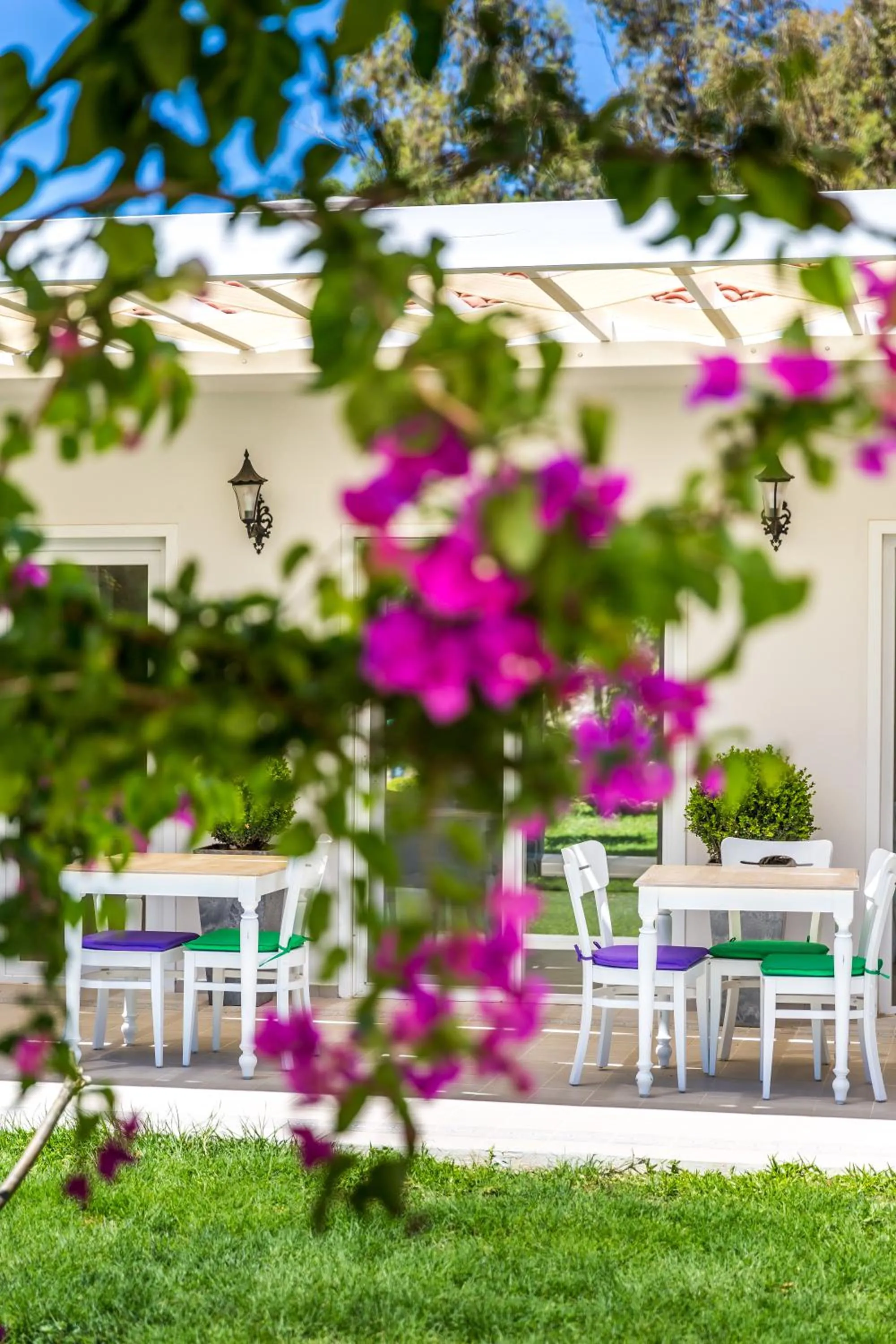 Balcony/Terrace in Kalina Hotel