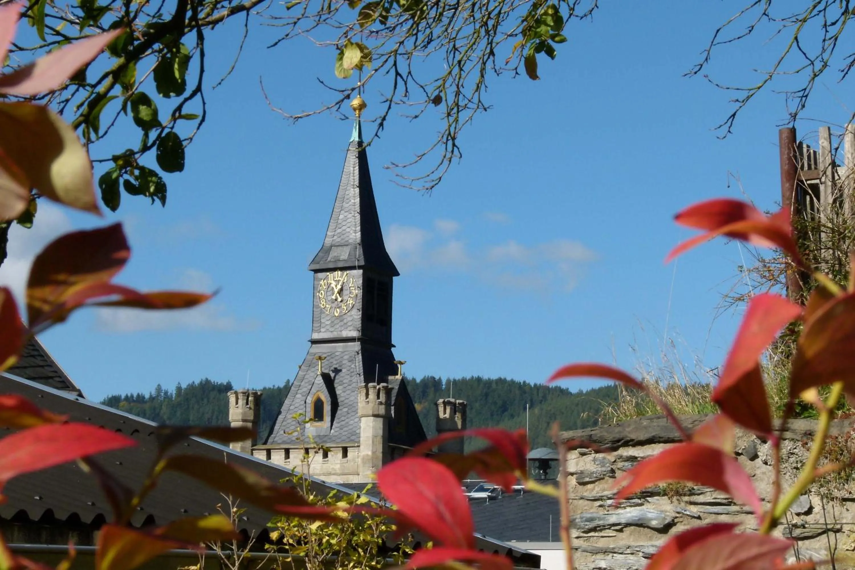 Area and facilities in Hotel & Gasthof Garküche