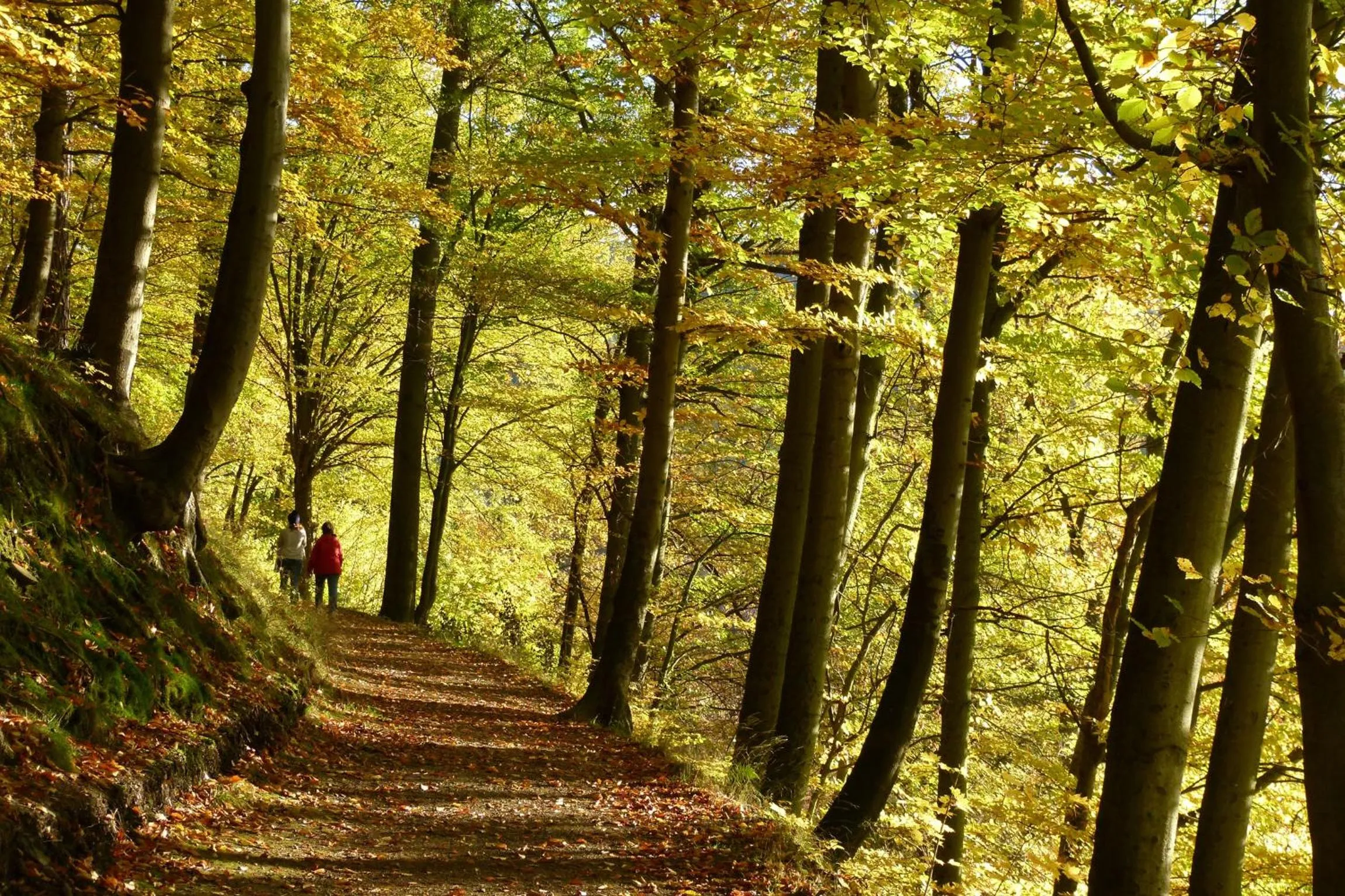 Other in Hotel & Gasthof Garküche