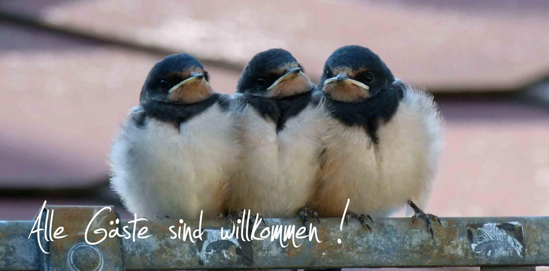 Text overlay in Hotel & Gasthof Garküche