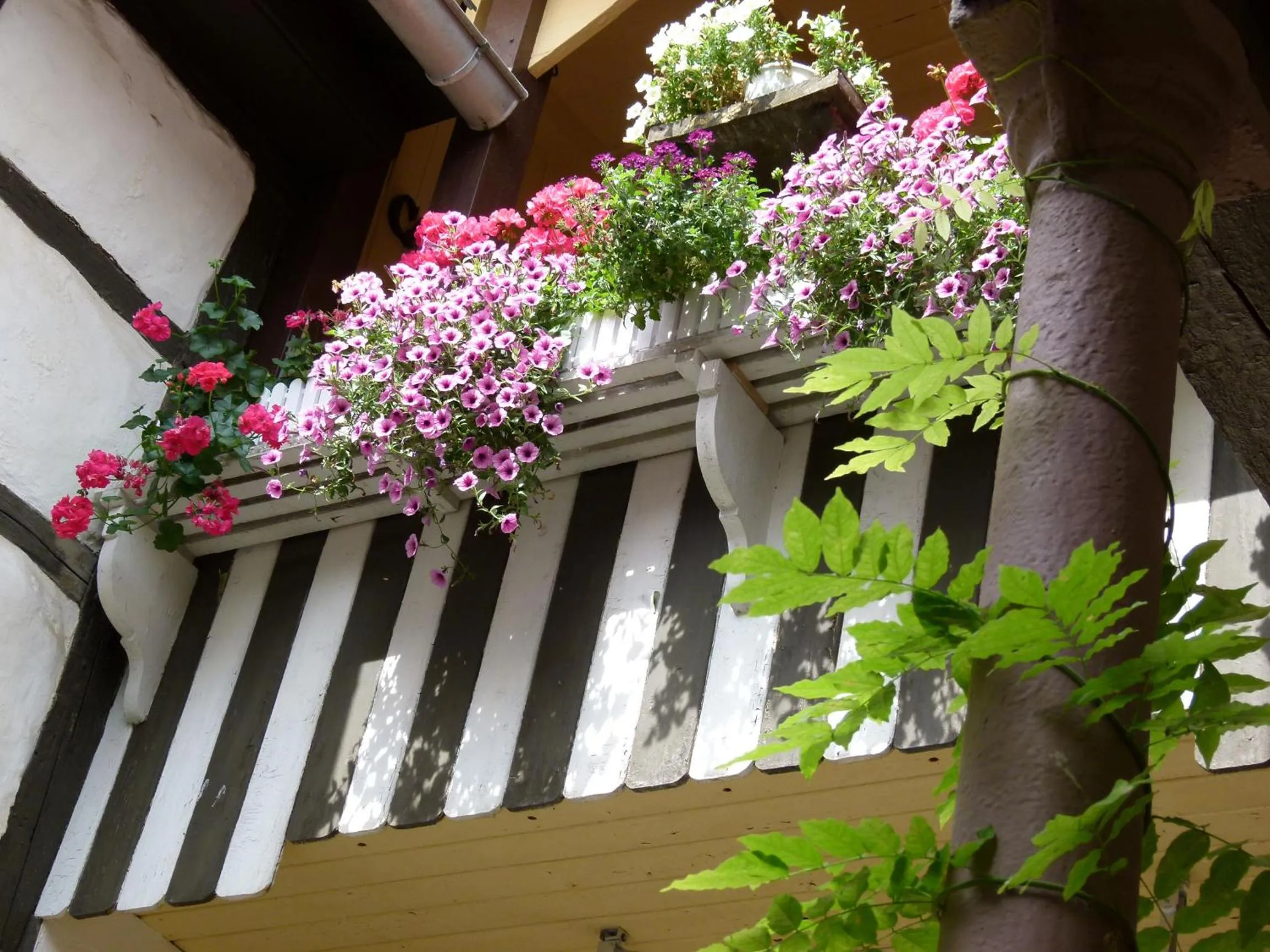 Decorative detail in Hotel & Gasthof Garküche