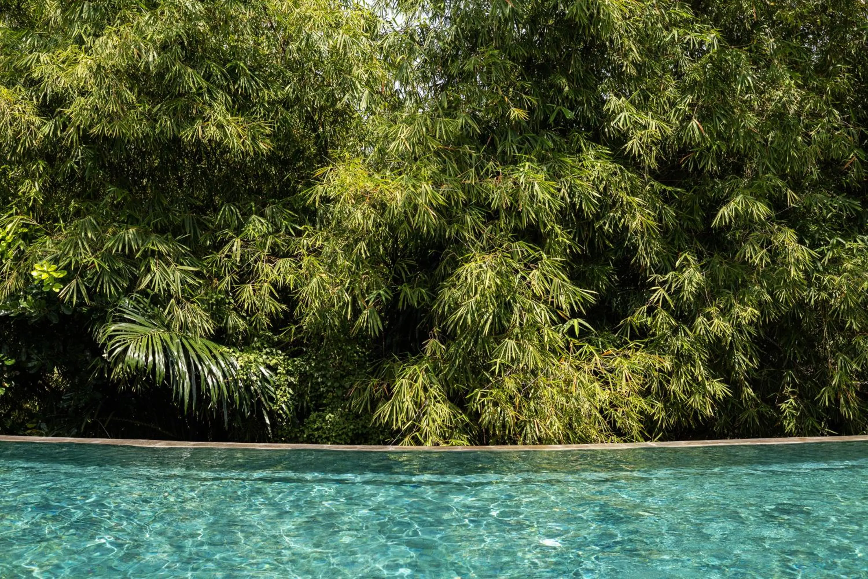 Restaurant/places to eat in Theanna Villa and Spa Canggu