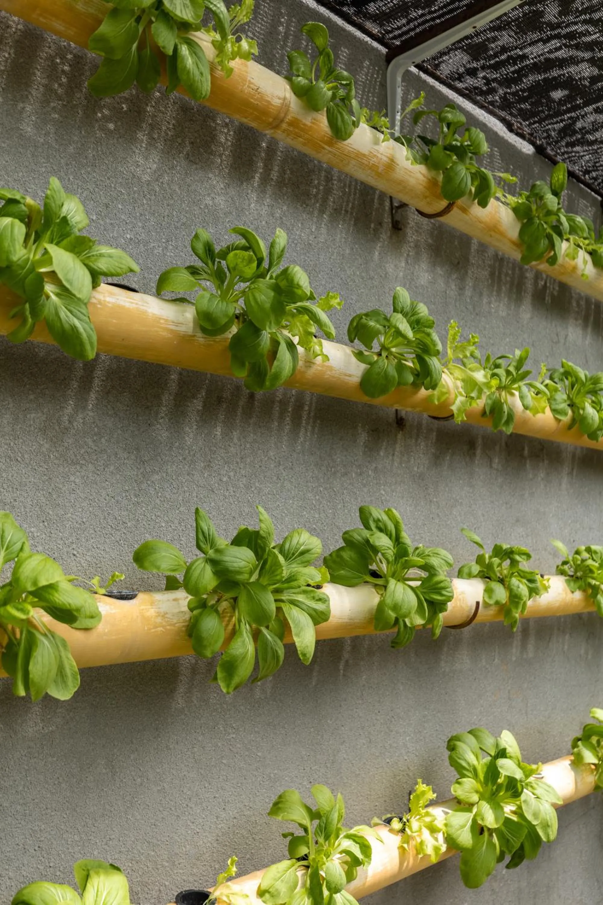 Spring in Theanna Villa and Spa Canggu