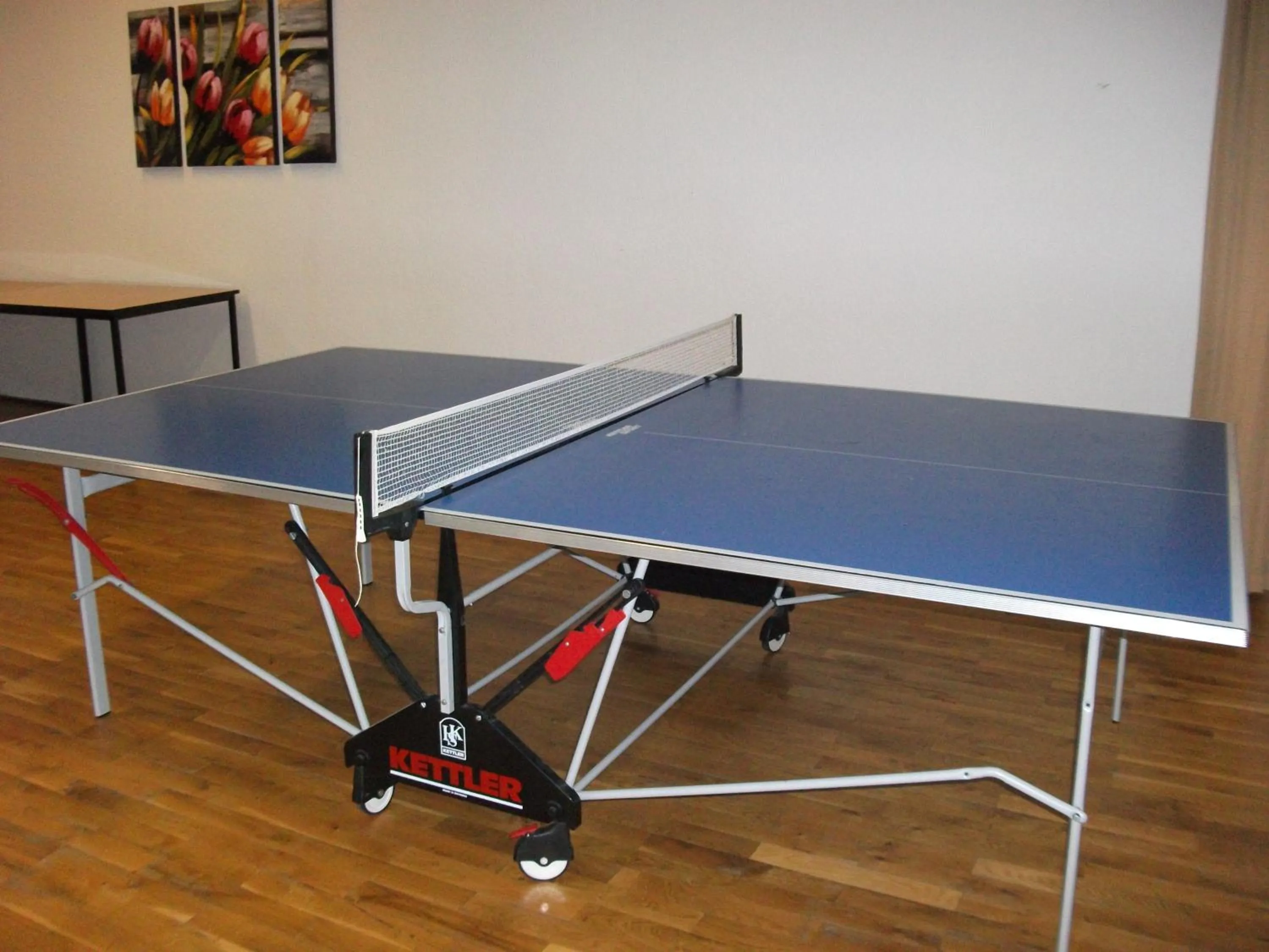 Table tennis in Hotel Am Wald -GARNI-