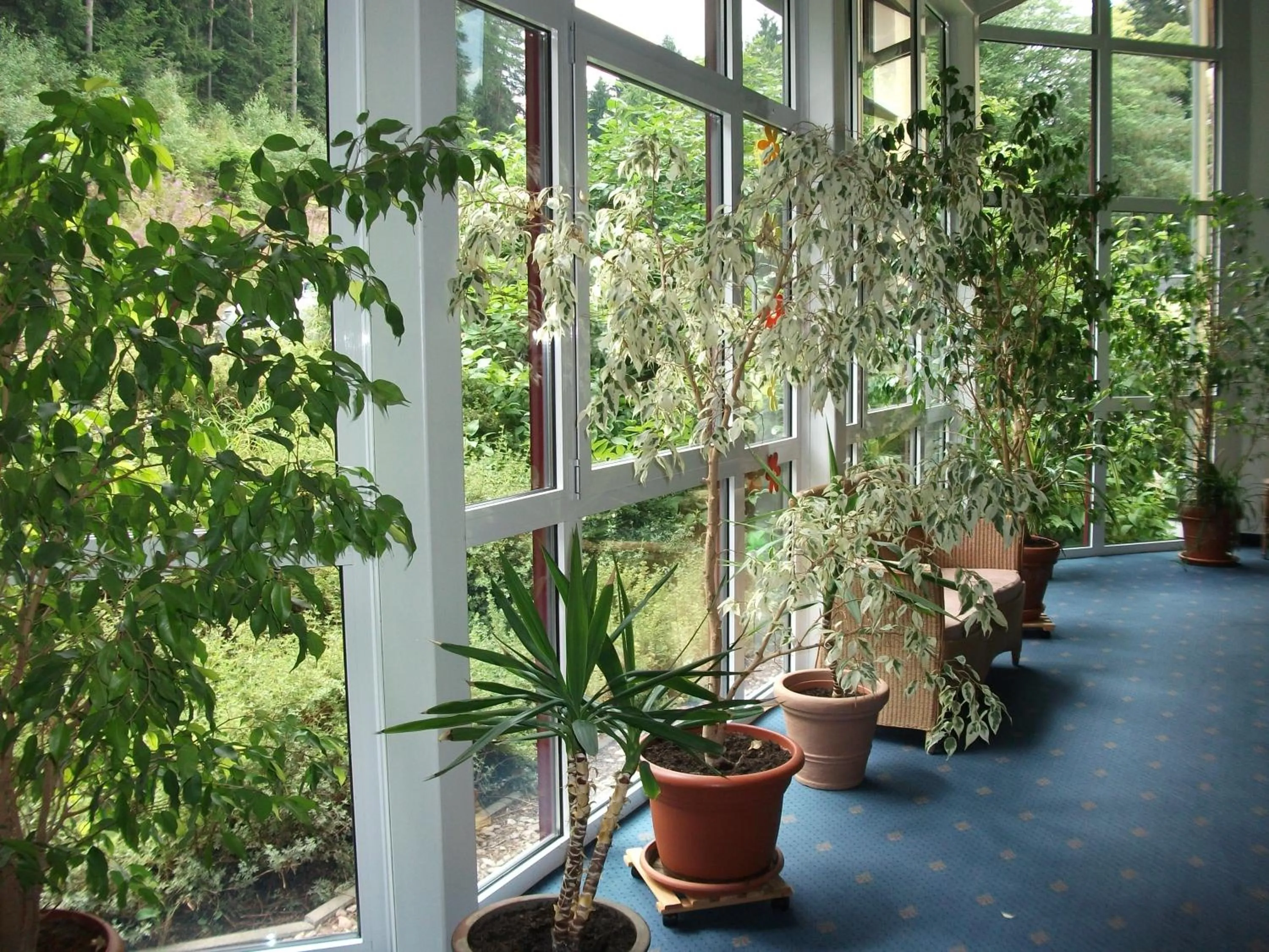 Decorative detail in Hotel Am Wald -GARNI-