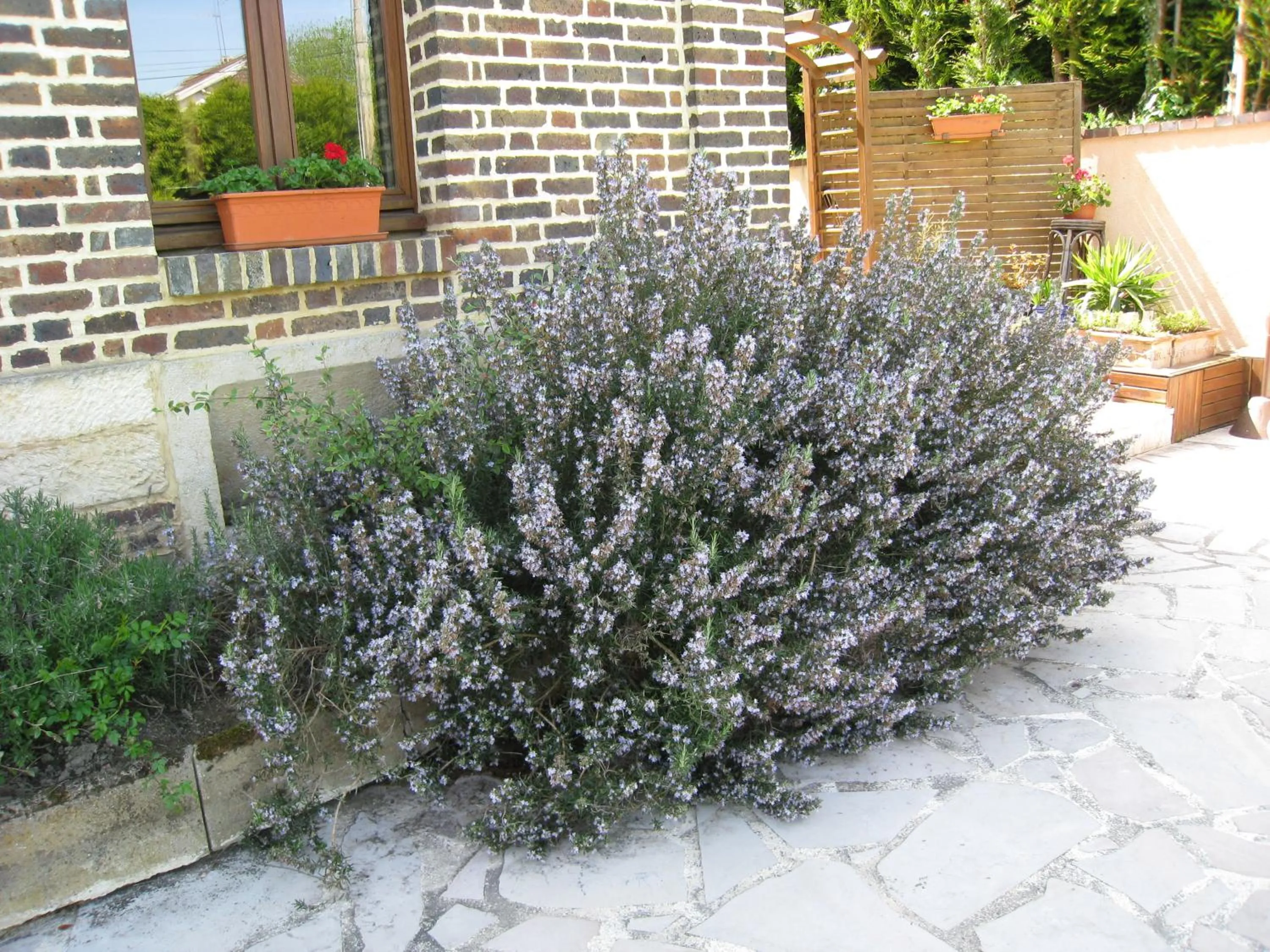 View (from property/room) in La Chambre D'amis LA COSTIGNIERES