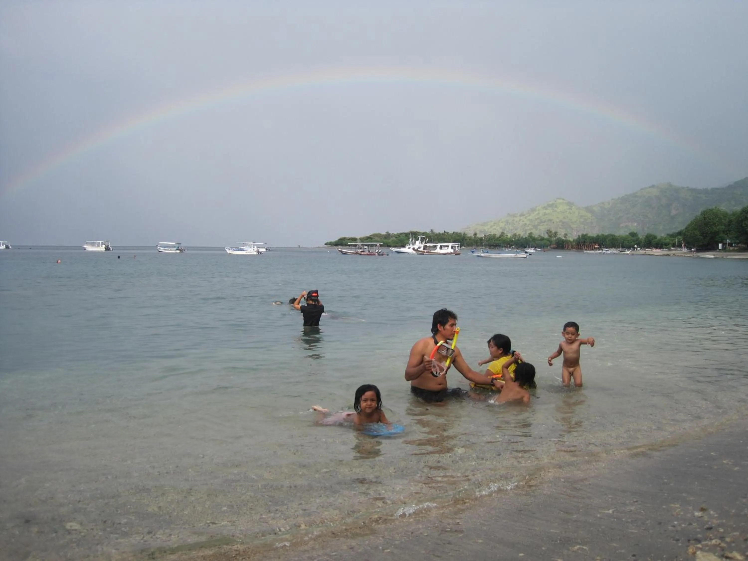 Snorkeling in Biorock Homestay & Dive Center Pemuteran