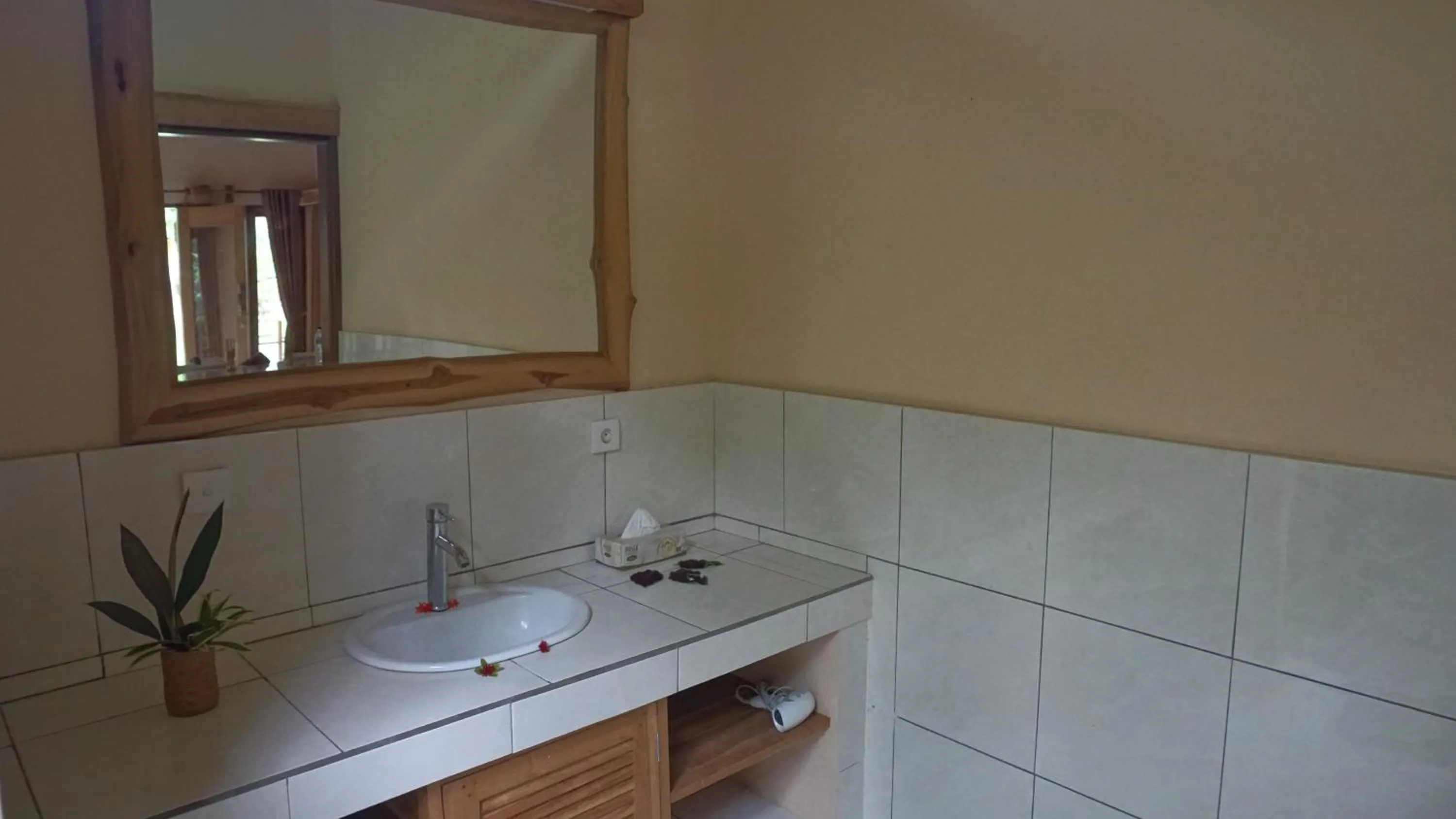 Bathroom in Biorock Homestay & Dive Center Pemuteran