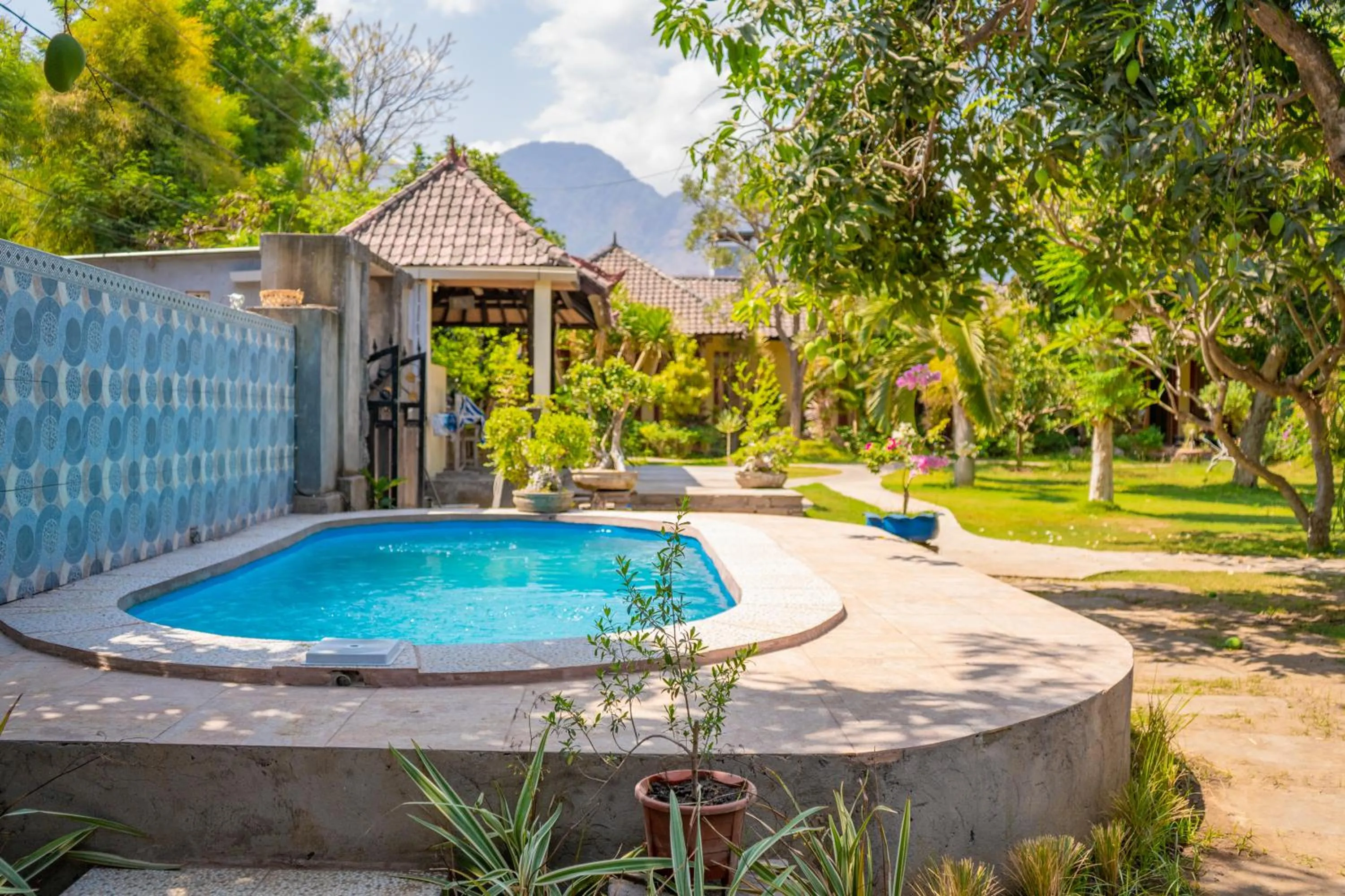 Swimming pool in Biorock Homestay & Dive Center Pemuteran