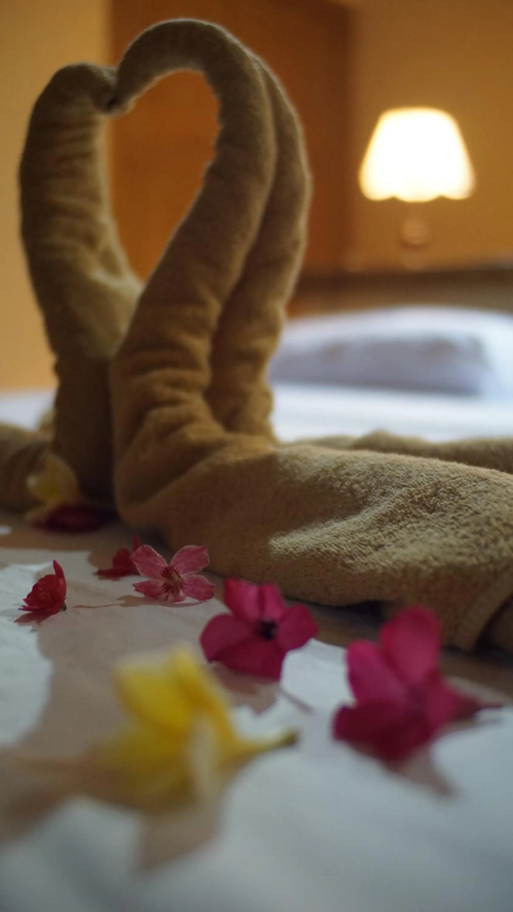 Property building, Bed in Biorock Homestay & Dive Center Pemuteran