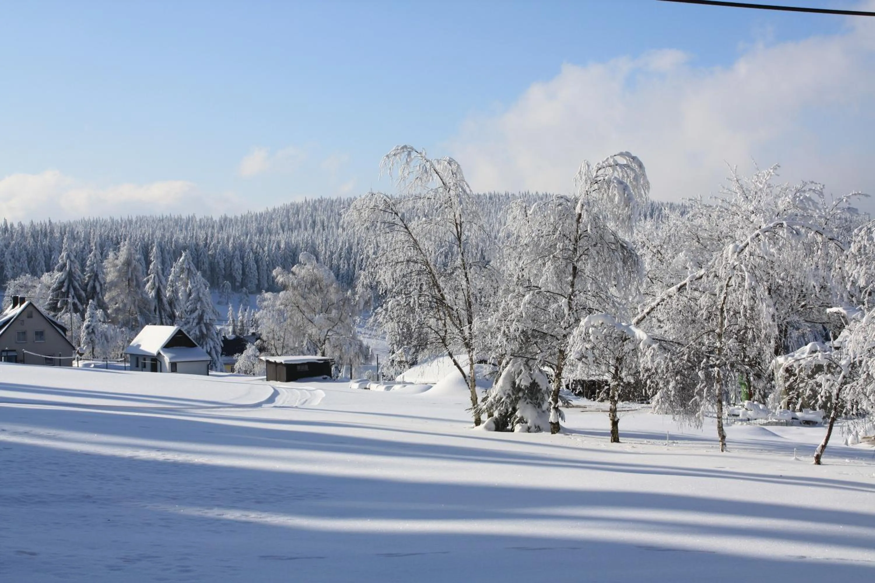Skiing in Ferienhotel Mühlleithen