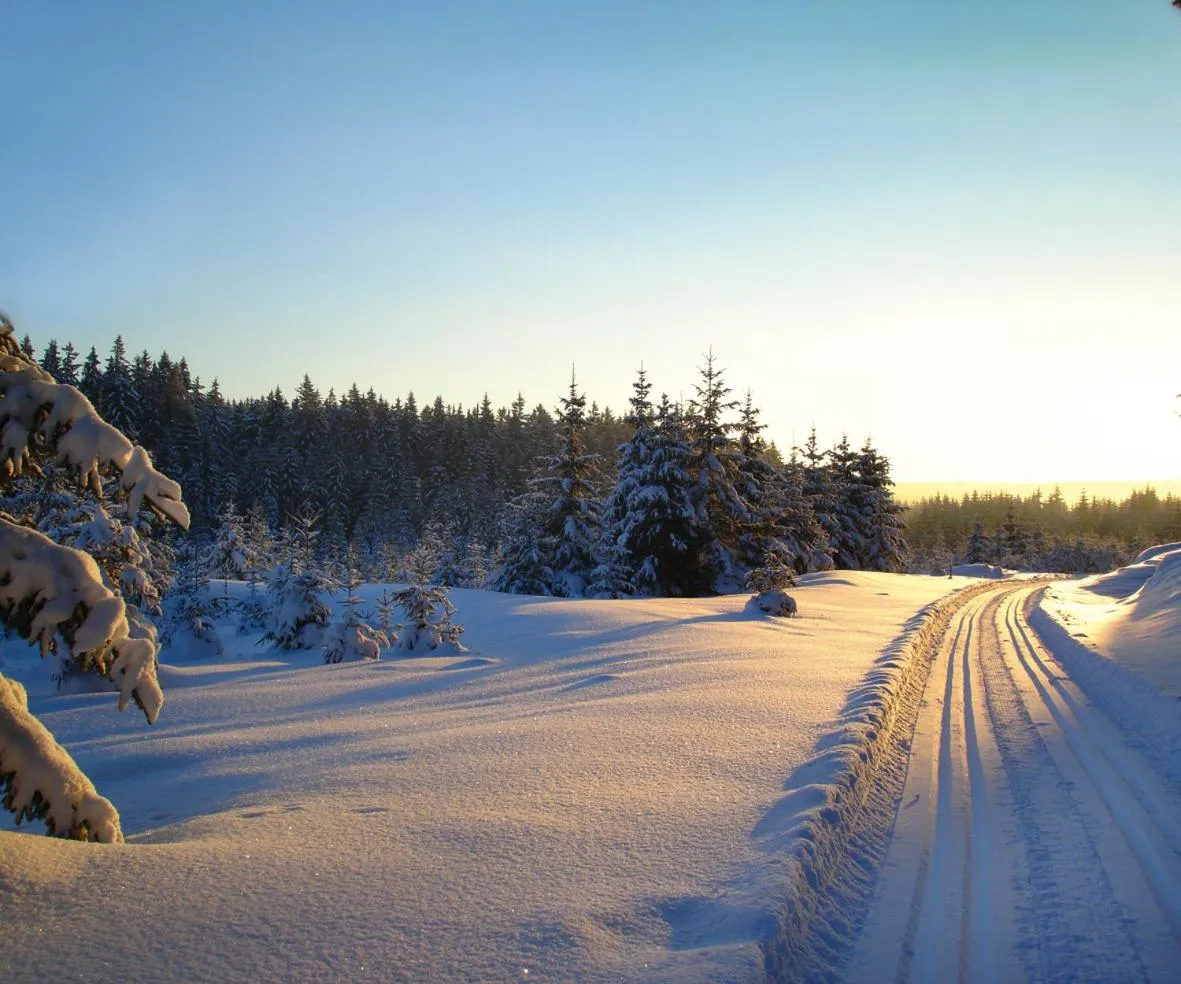 Ferienhotel Mühlleithen
