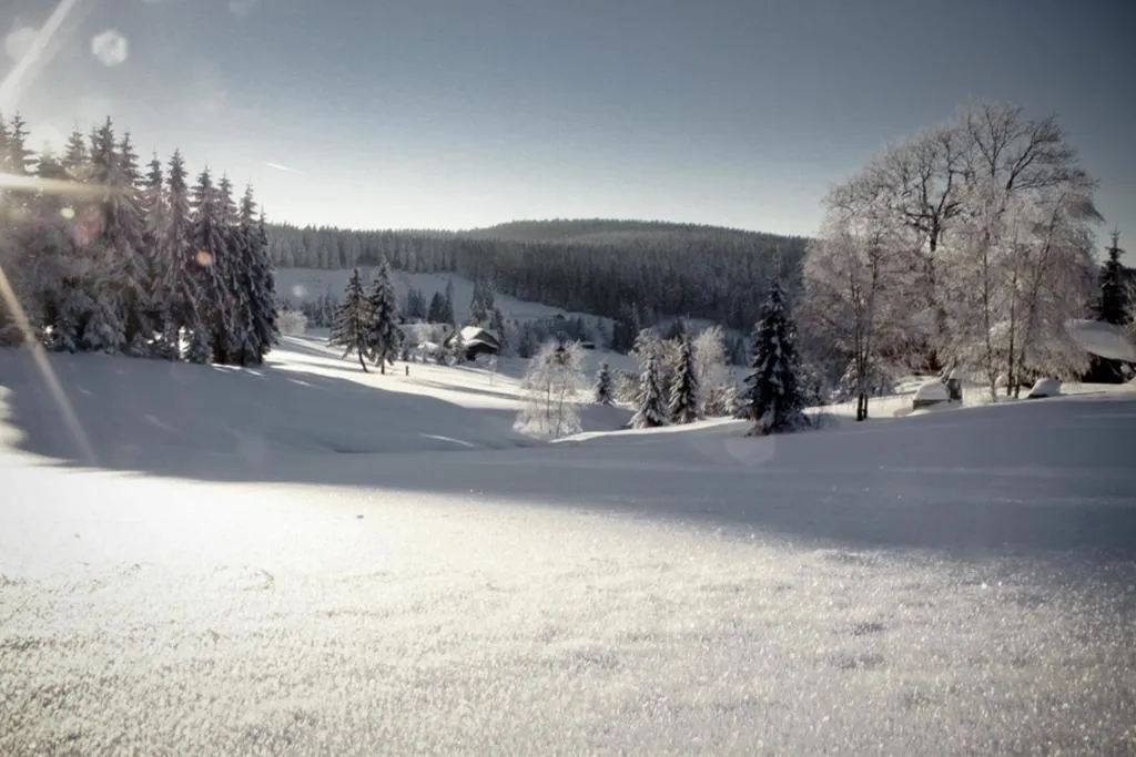 Winter in Ferienhotel Mühlleithen