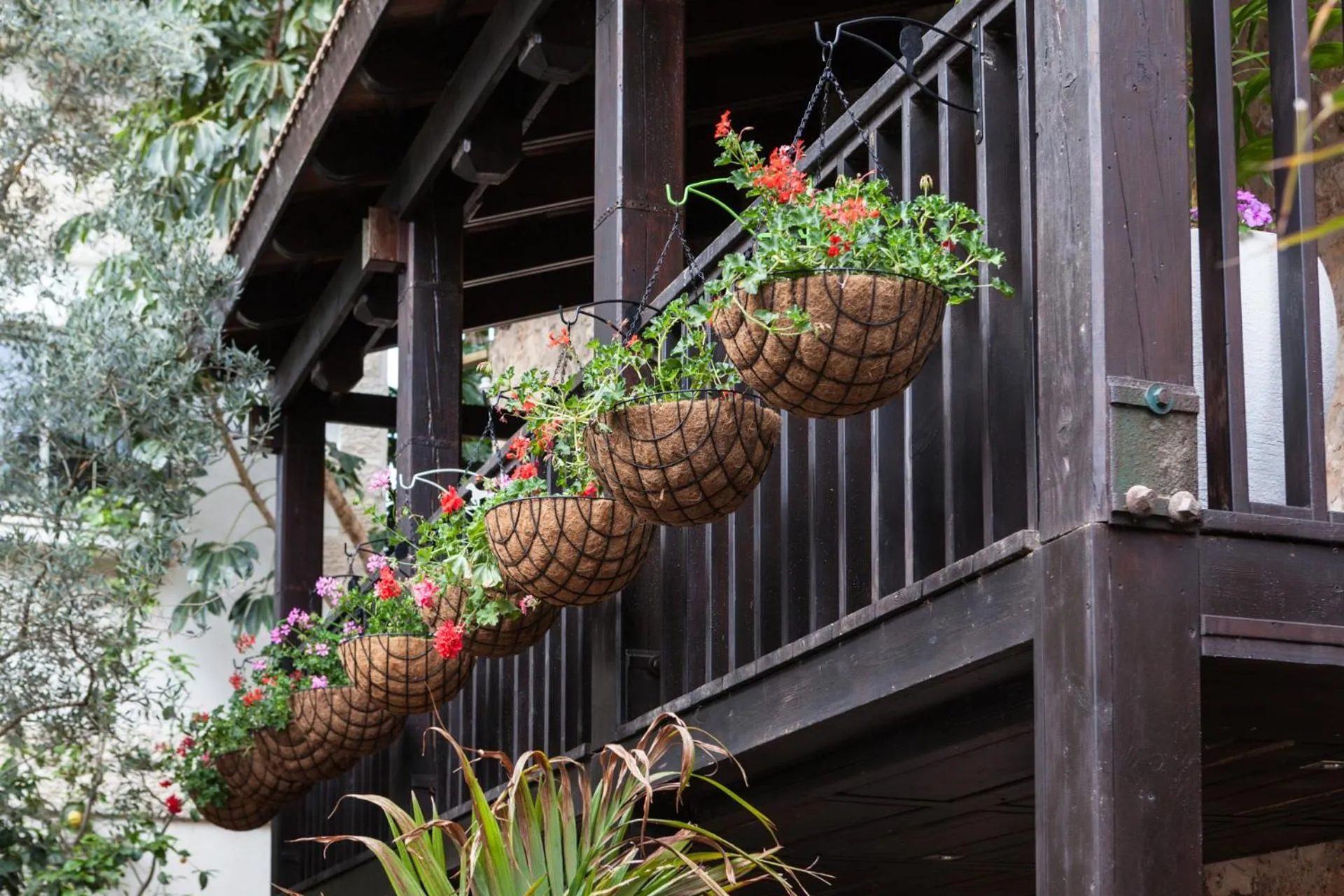 Garden in Carmel Pearl