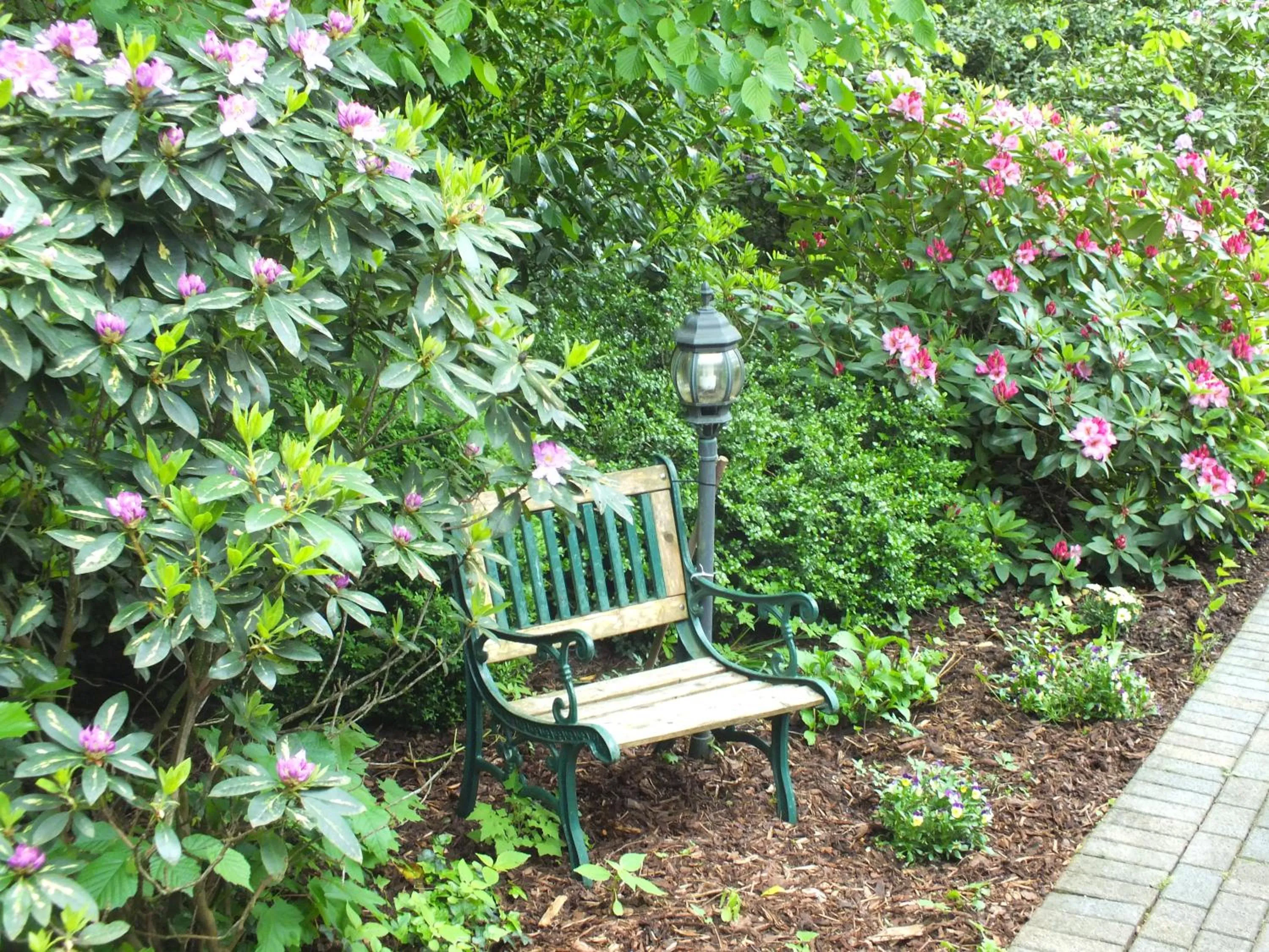 Garden in Hotel Holter Schloßkrug