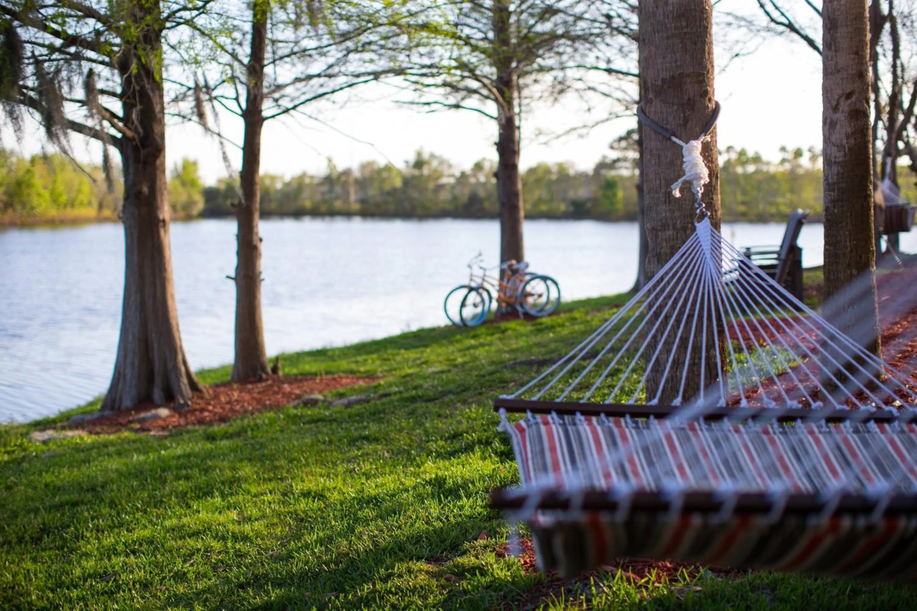 Other in Marriott Orlando Airport Lakeside