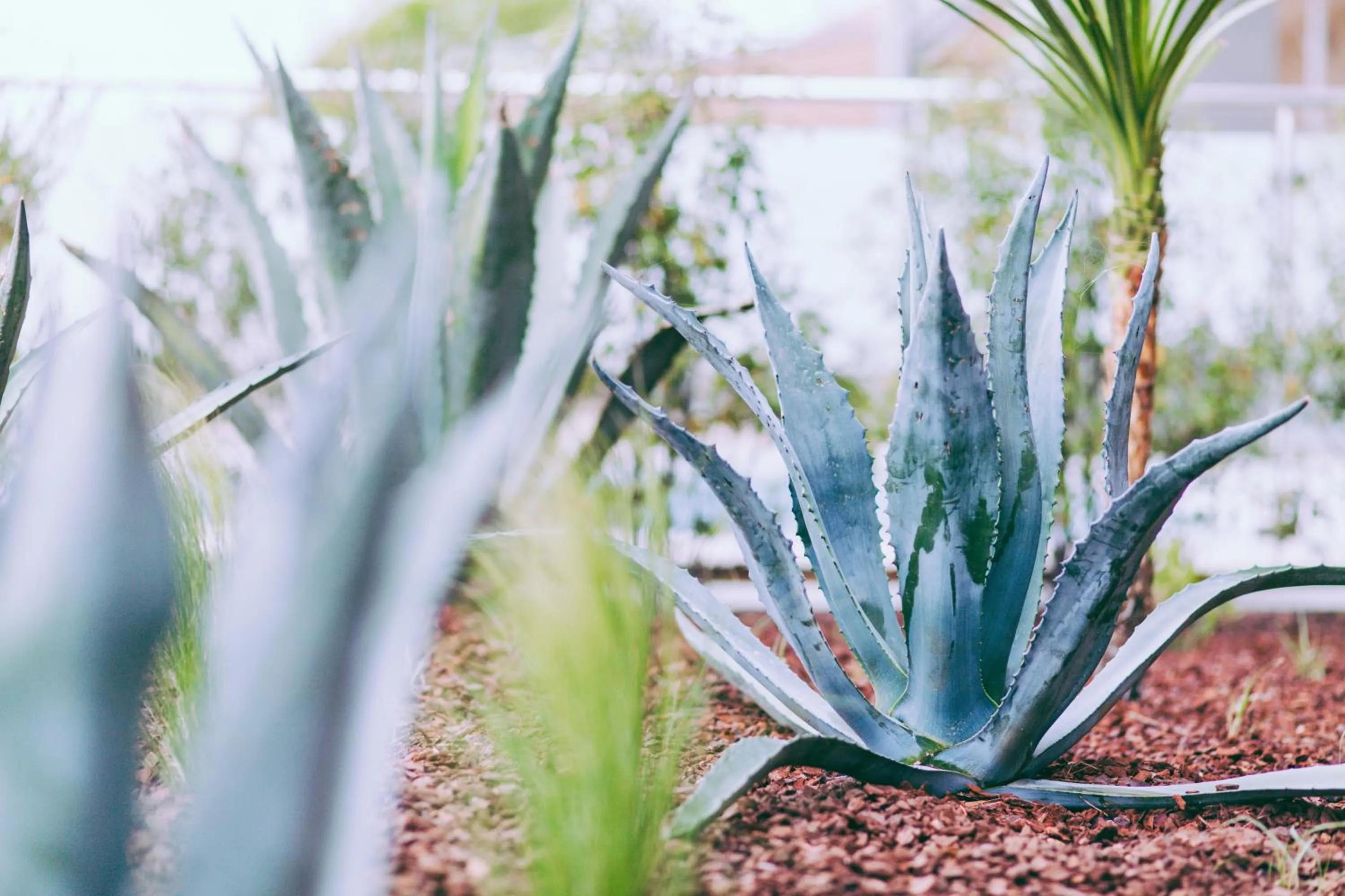 Decorative detail in Hôtel & Spa Villa Seren