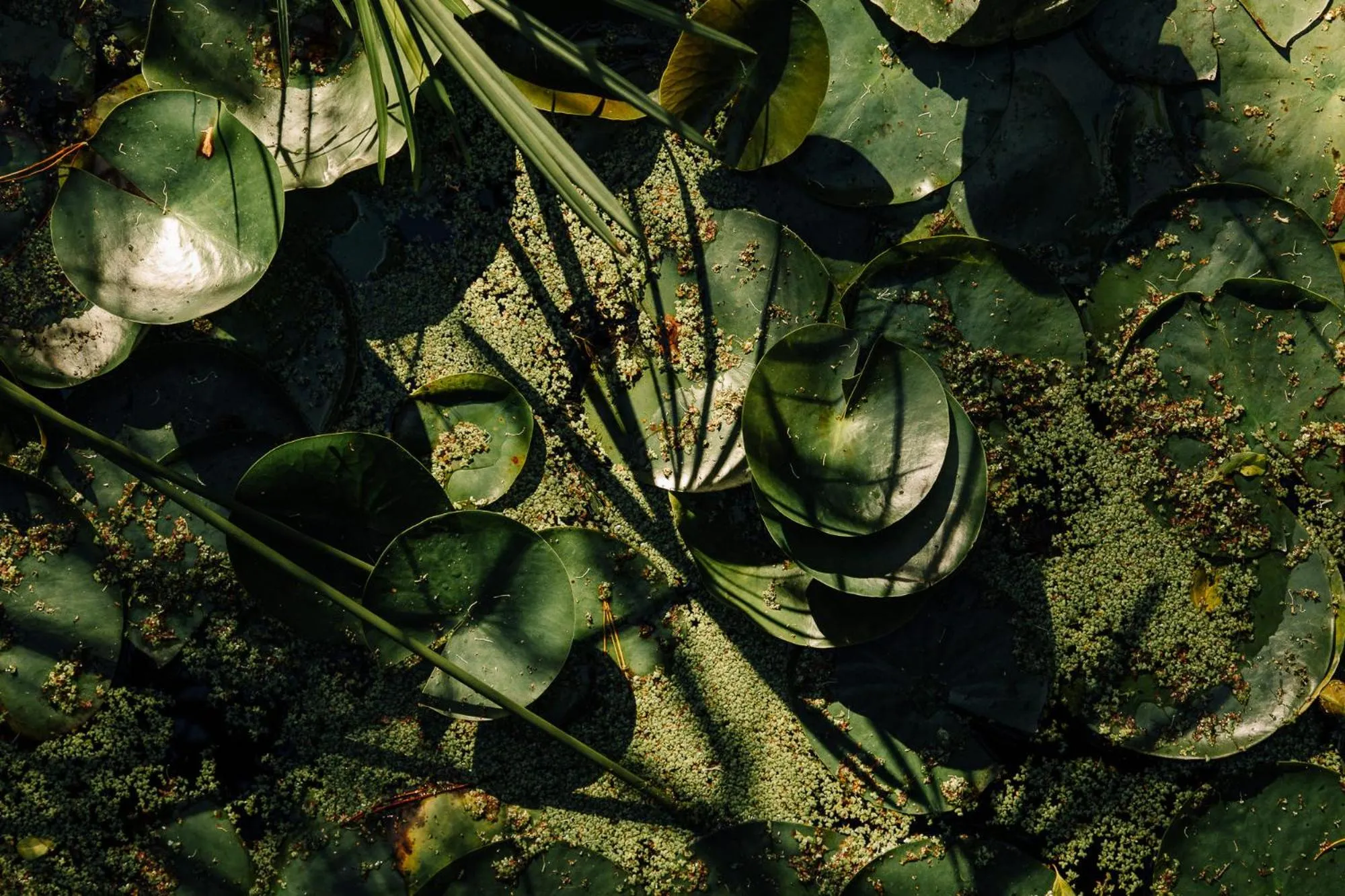 L'auberge Country Hideaway