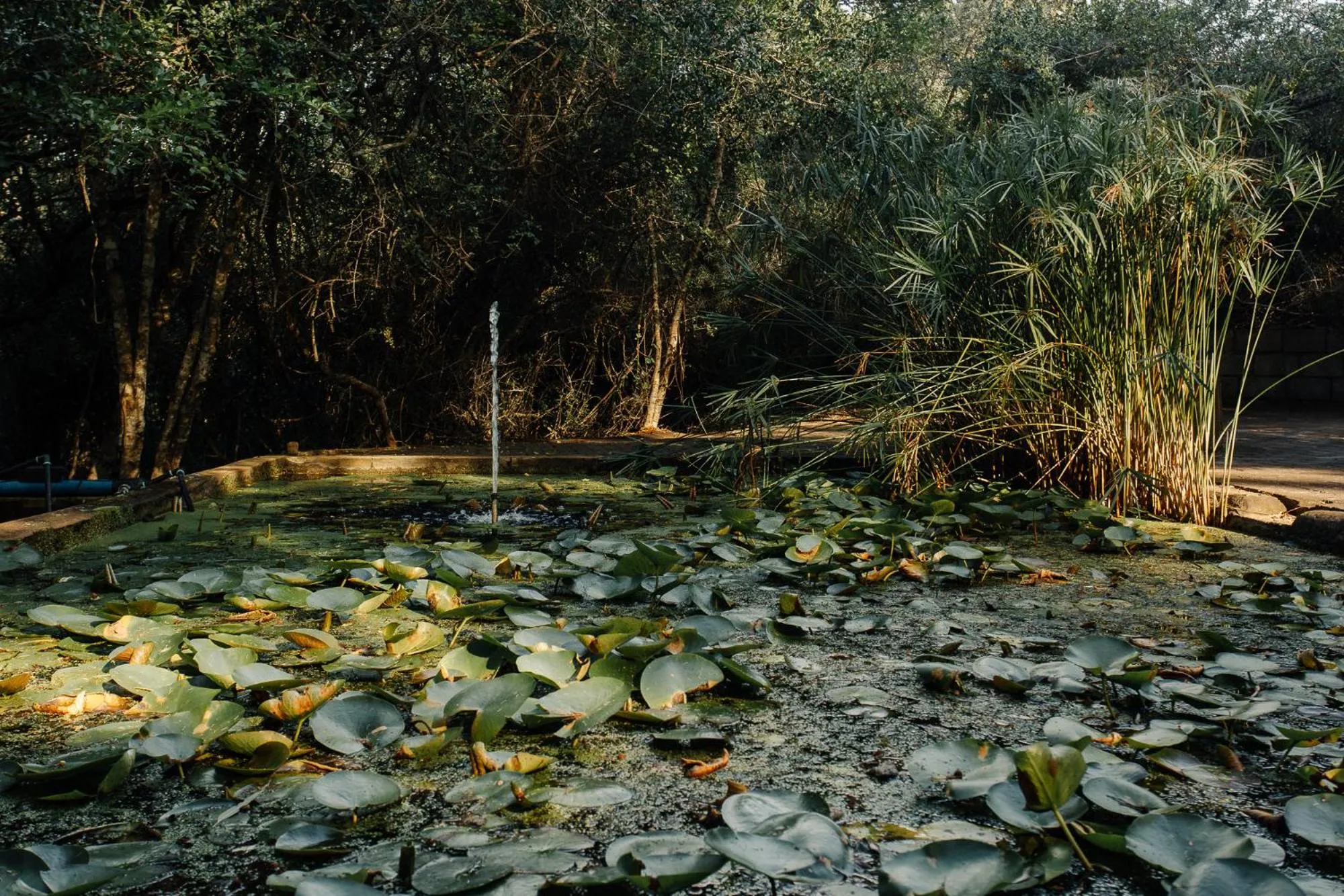 L'auberge Country Hideaway