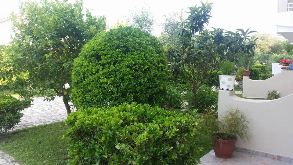 Garden in Alexandros Studios Apartments