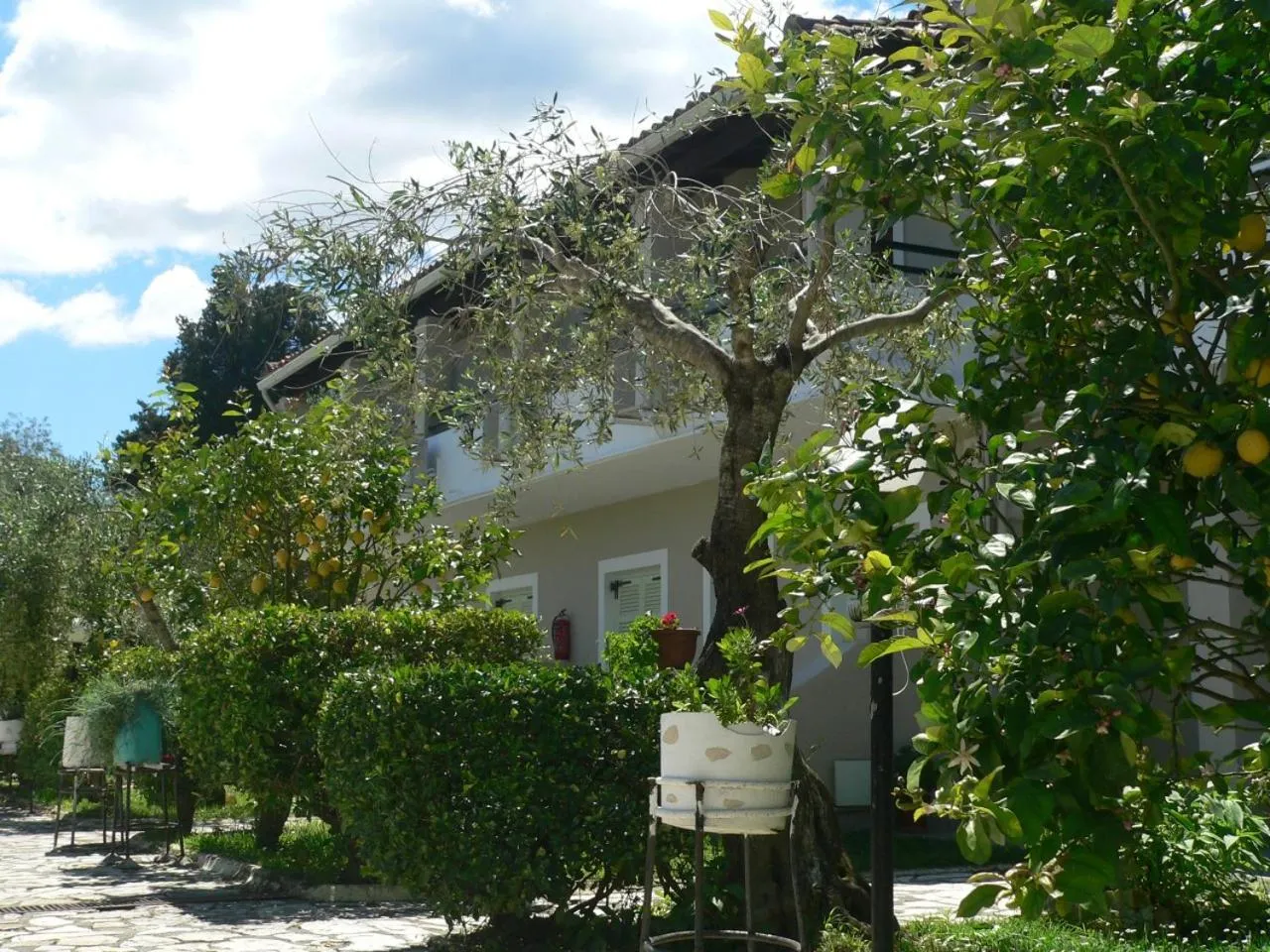 Garden in Alexandros Studios Apartments
