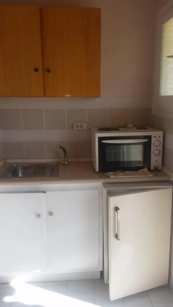 Kitchen or kitchenette in Alexandros Studios Apartments