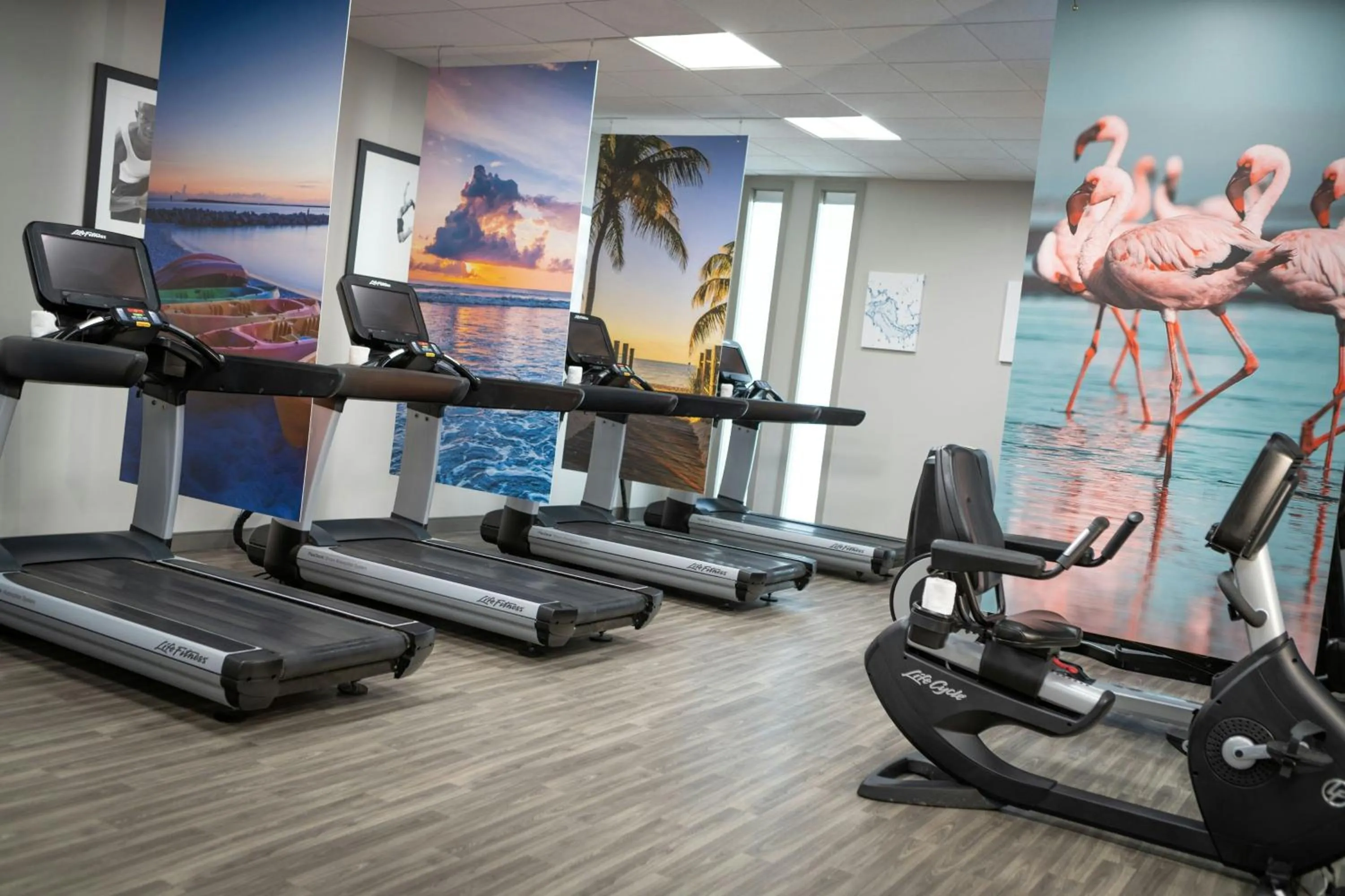Fitness centre/facilities in Renaissance Orlando at SeaWorld®