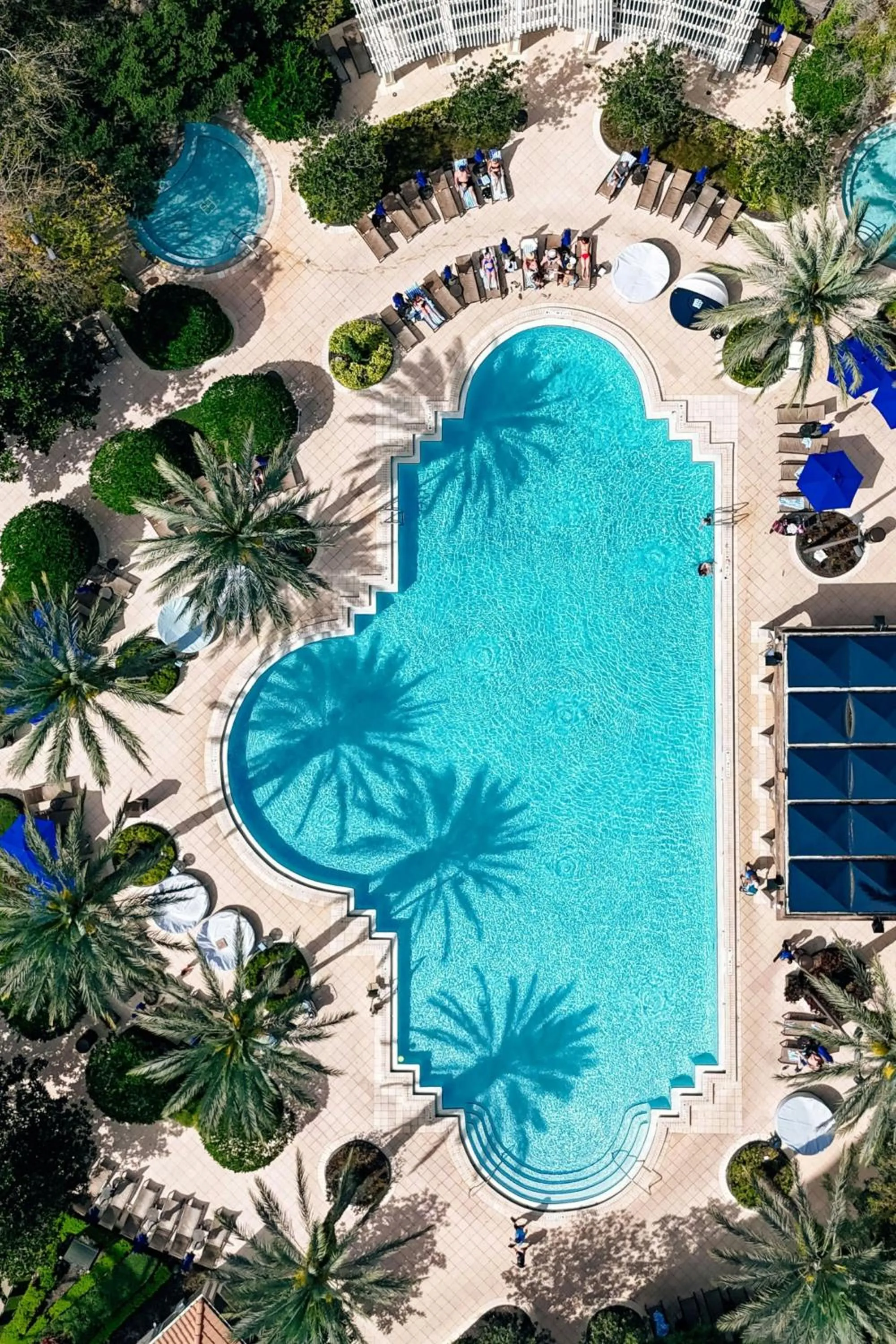 Swimming pool in Renaissance Orlando at SeaWorld®