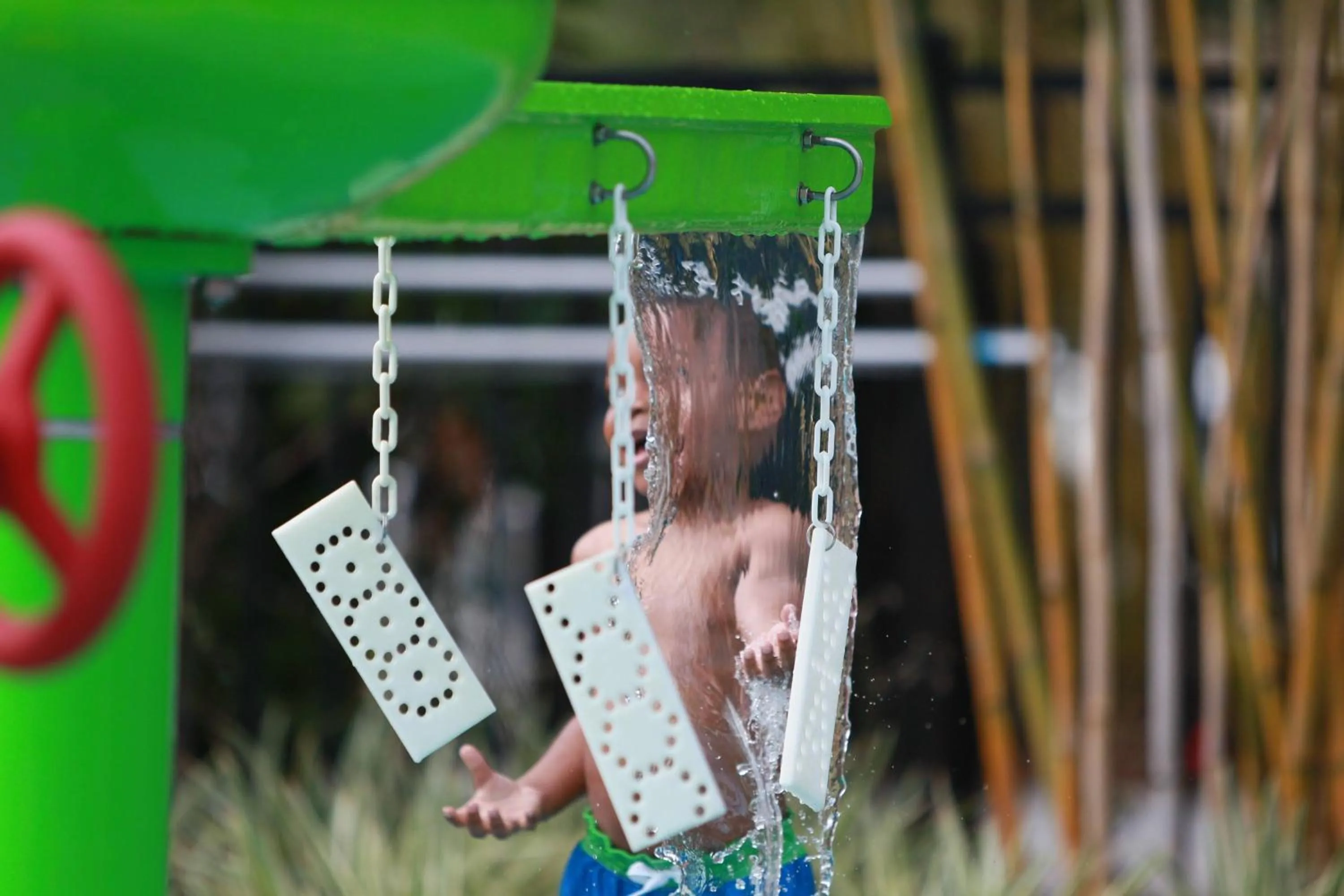 Other in Renaissance Orlando at SeaWorld®