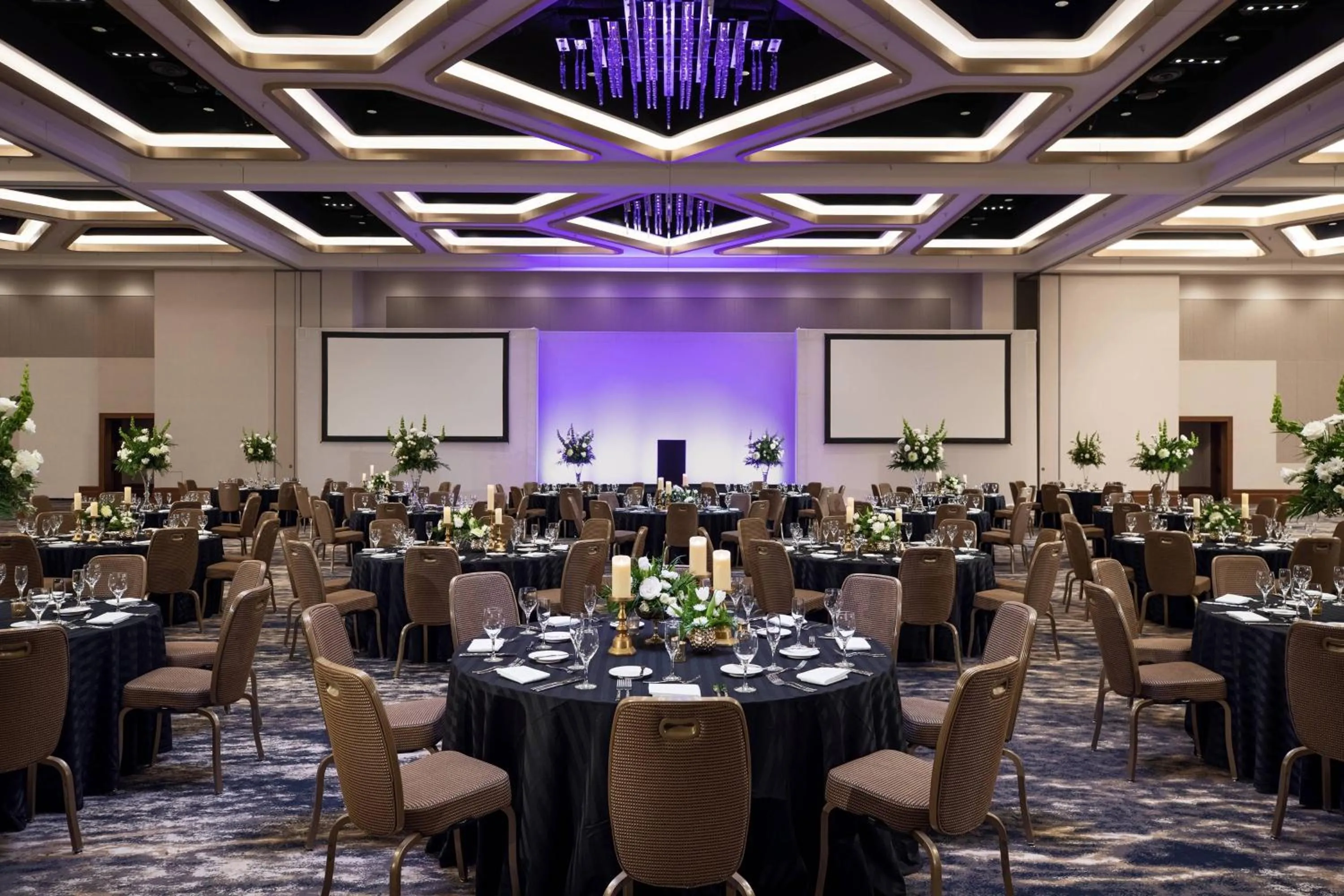 Banquet/Function facilities in Renaissance Orlando at SeaWorld®
