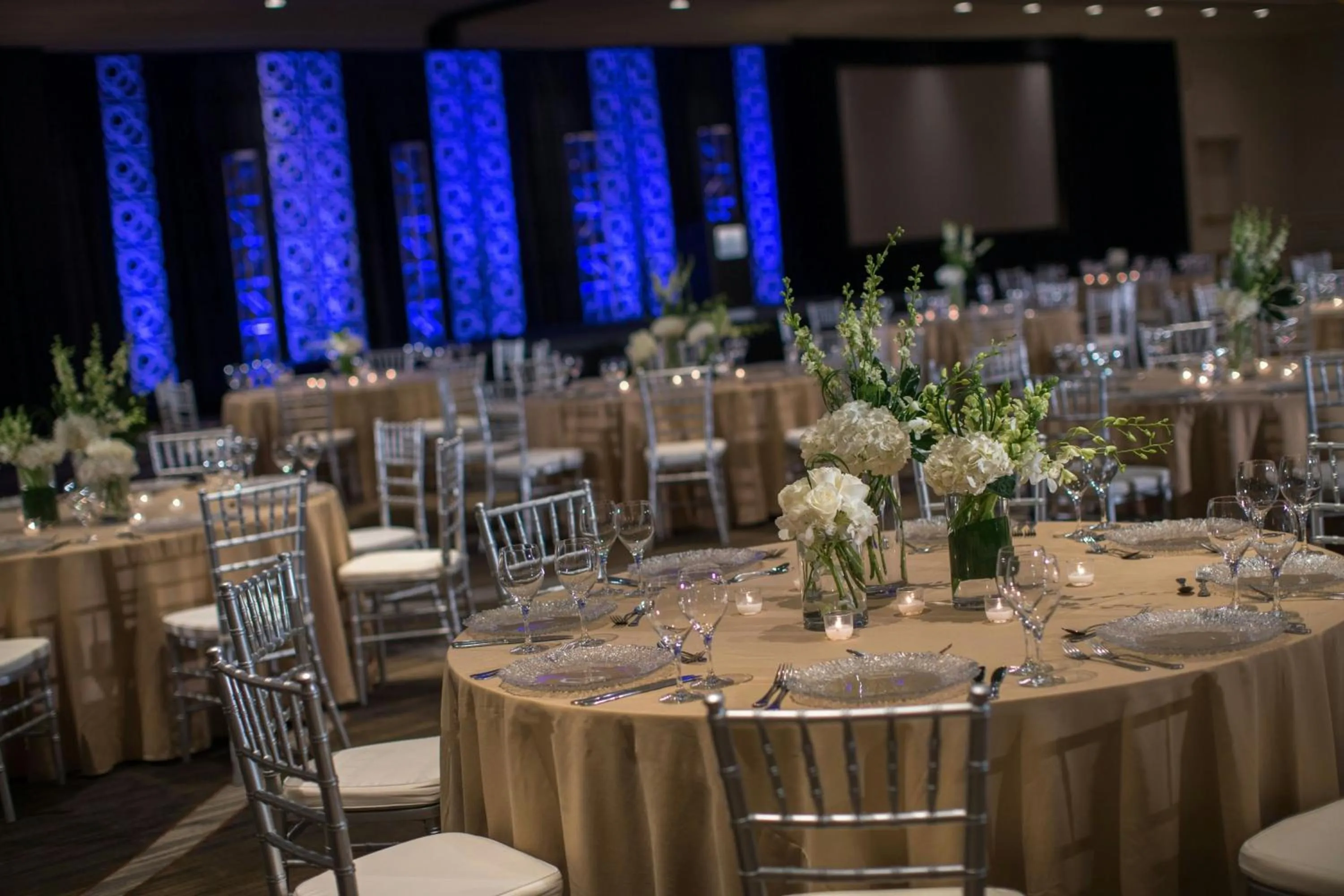 Meeting/conference room in Renaissance Orlando at SeaWorld®