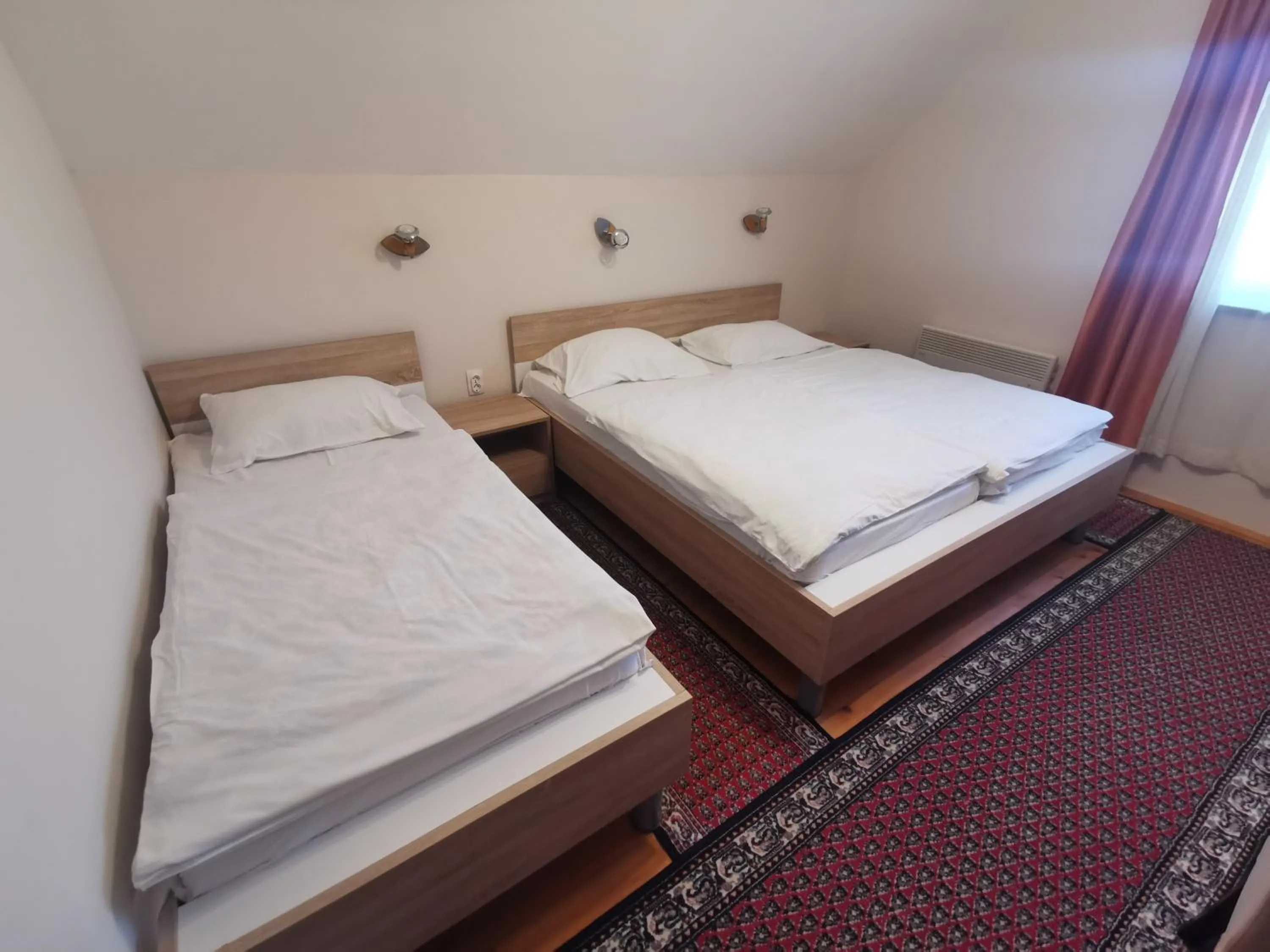 Vila Novaković X